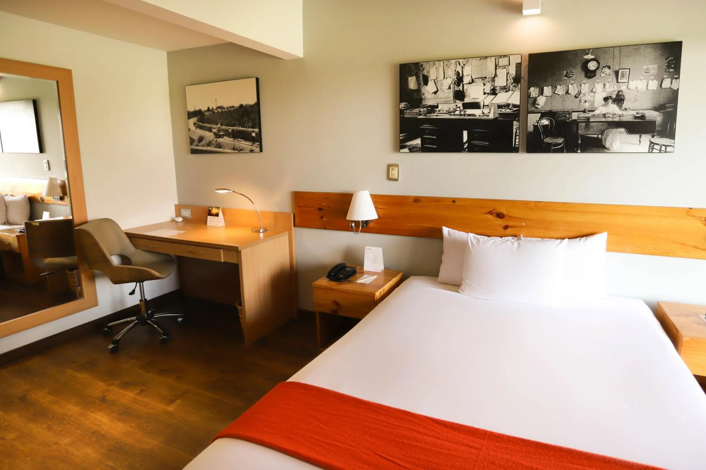 Double Room - single occupancy in Casa Andina Standard Chincha