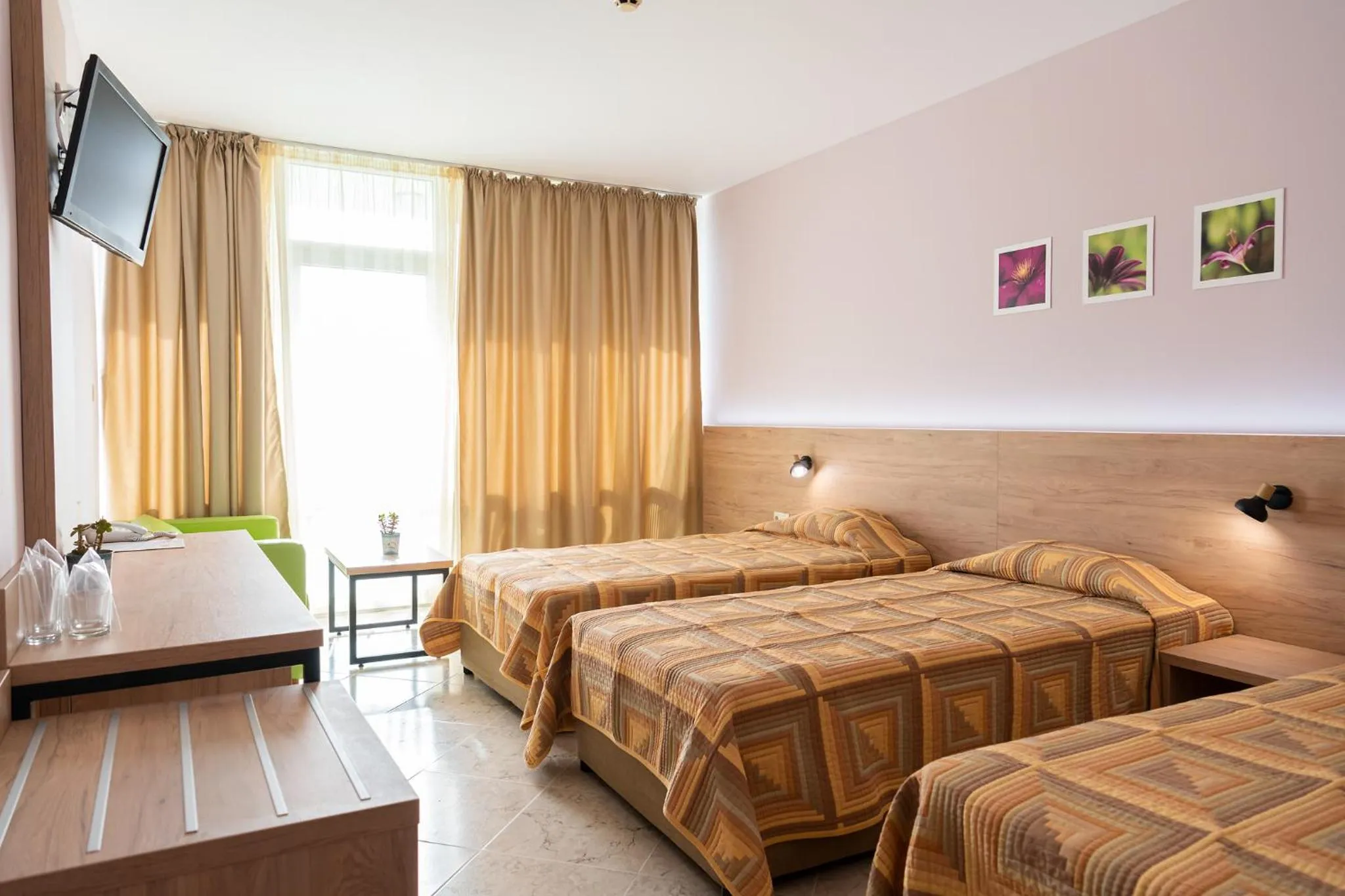 Double or Twin Room (2 Adults + 1 Child) in Ivana Palace Hotel - Free Parking