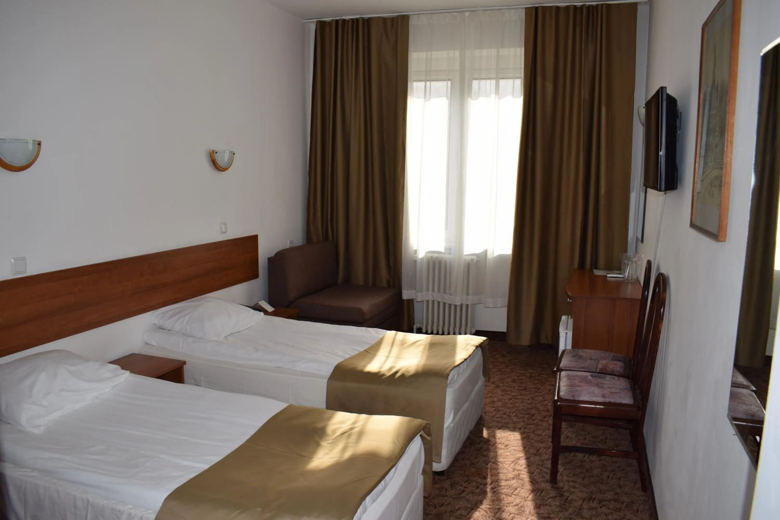 Double or Twin Room - single occupancy in Slavyanska Beseda Hotel