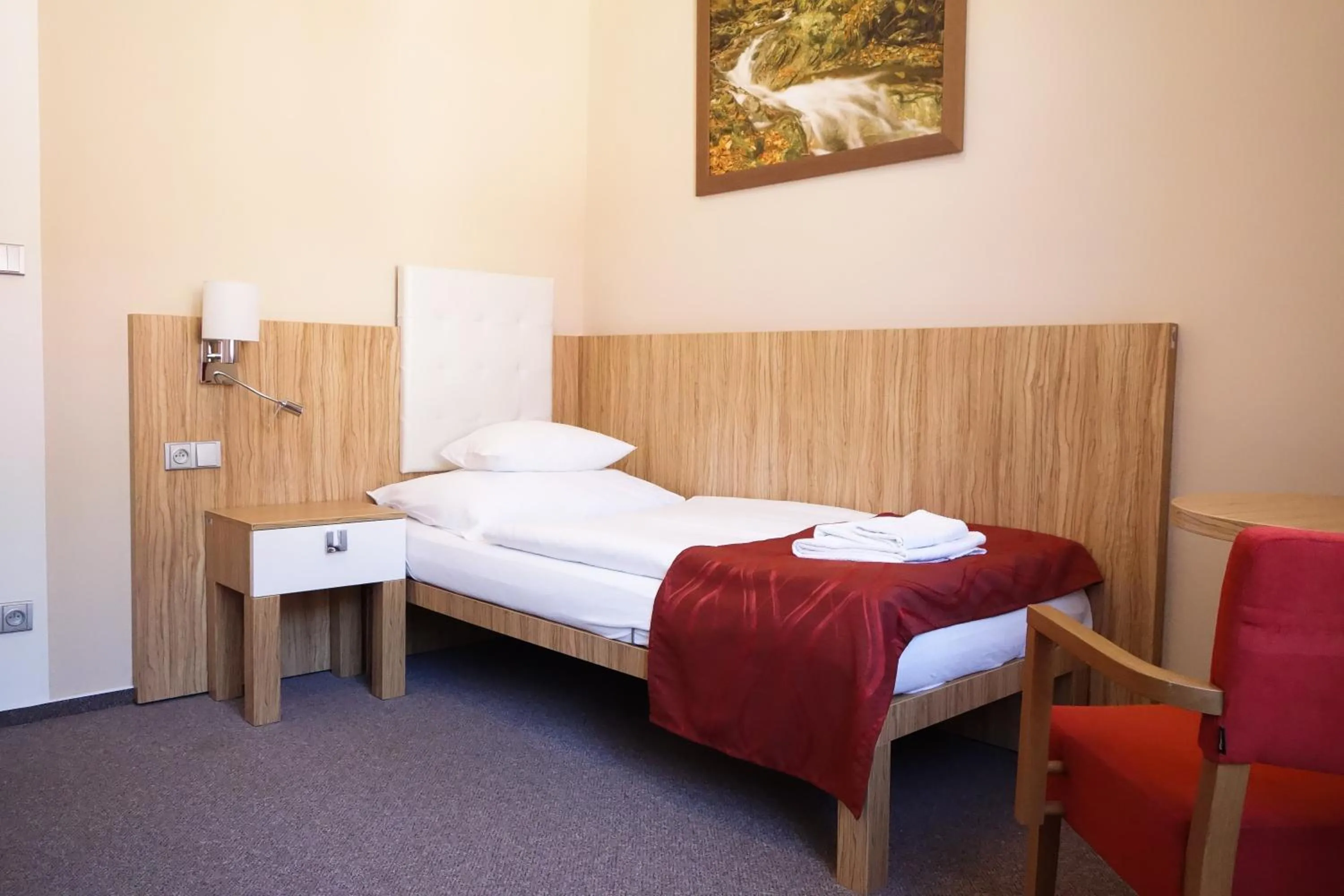 Single Room with Private Bathroom in Hotel Astoria