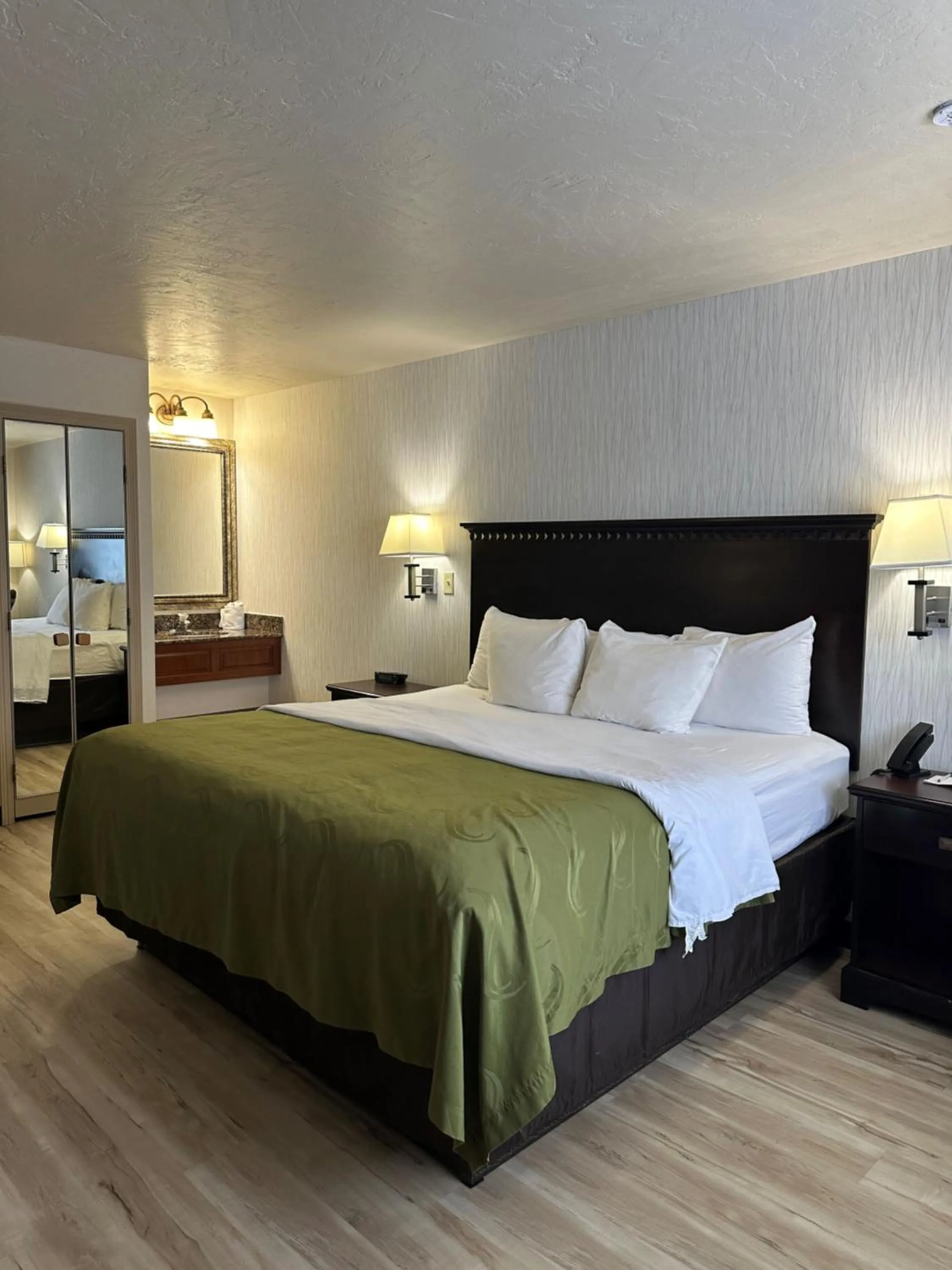 King Studio Suite - Non-Smoking in Wingate by Wyndham Gunnison Near Western Colorado University