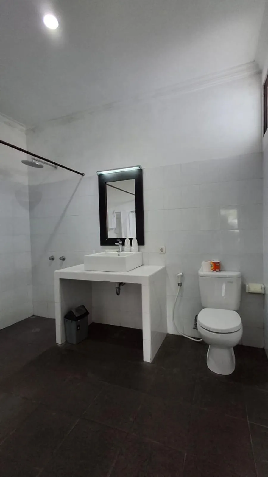 Deluxe Twin Room in Tulamben Dive Resort