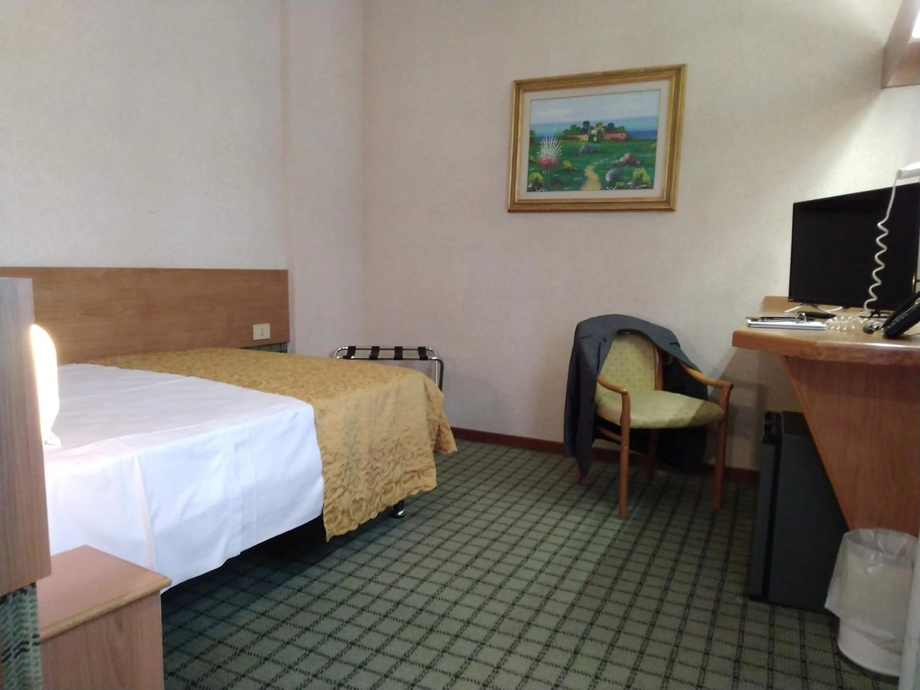 Economy Single Room in Hotel Delta Florence