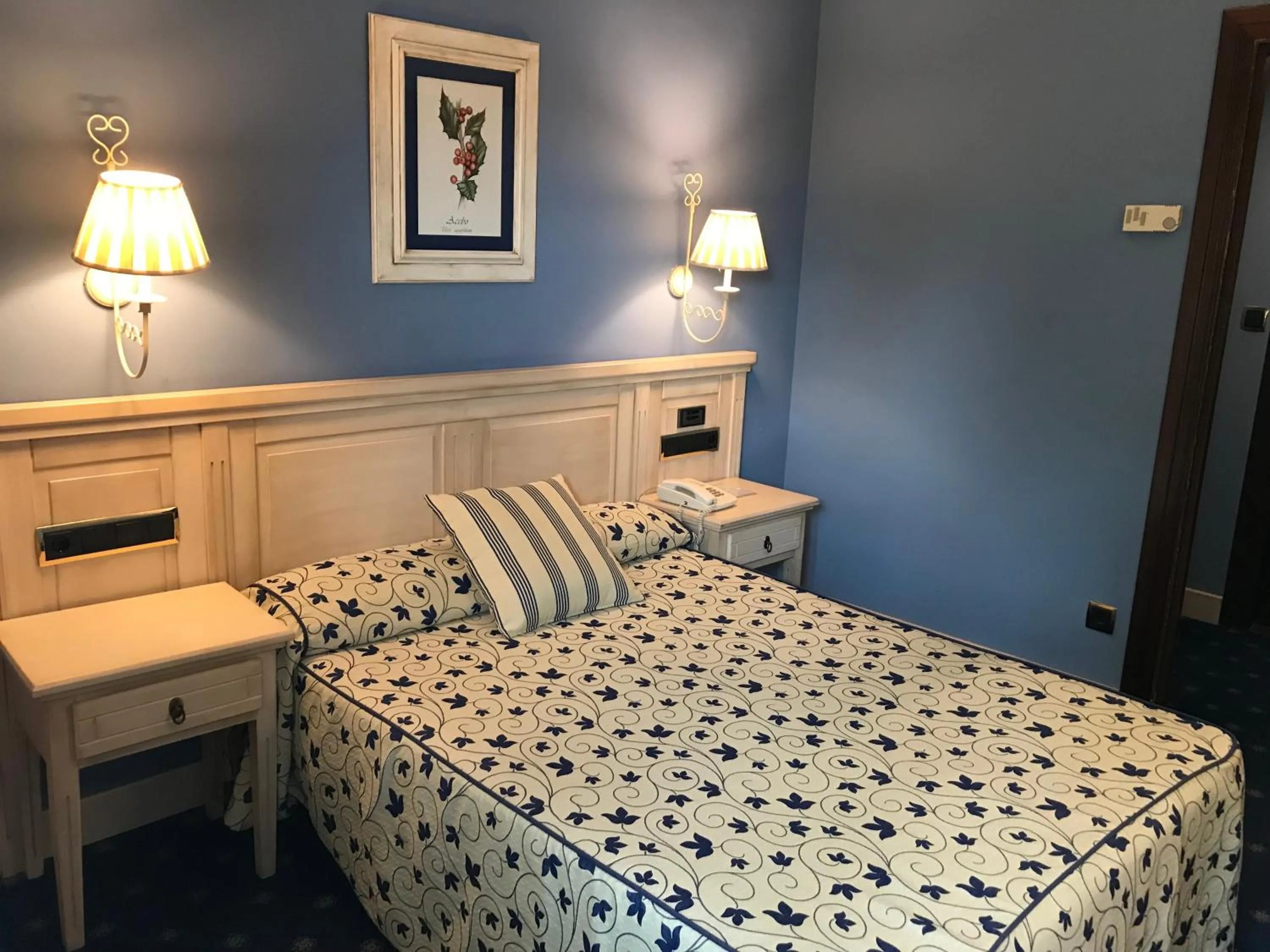 Single Room - single occupancy in Hotel Leonor Mirón