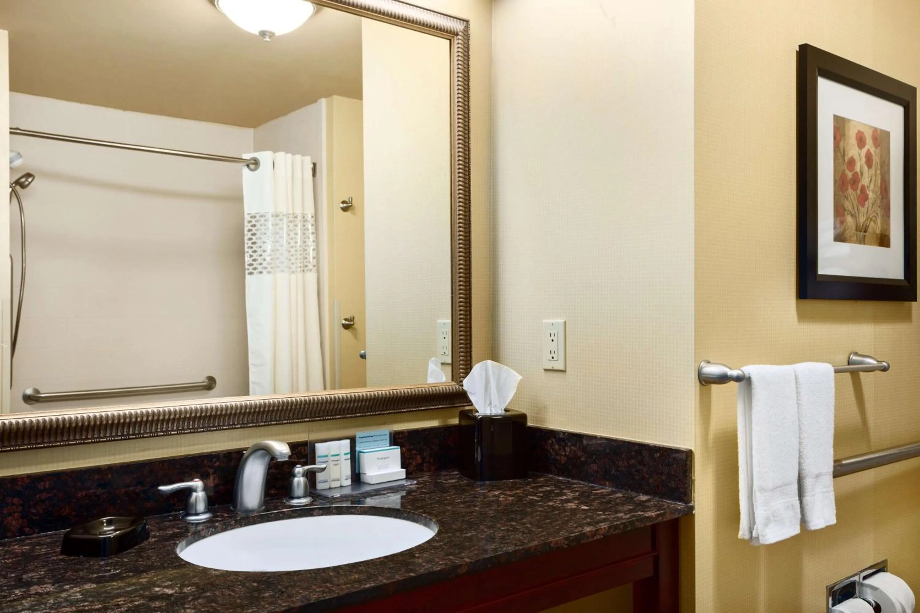 King Room - Mobility Access/Non-Smoking in Hampton Inn & Suites Mission