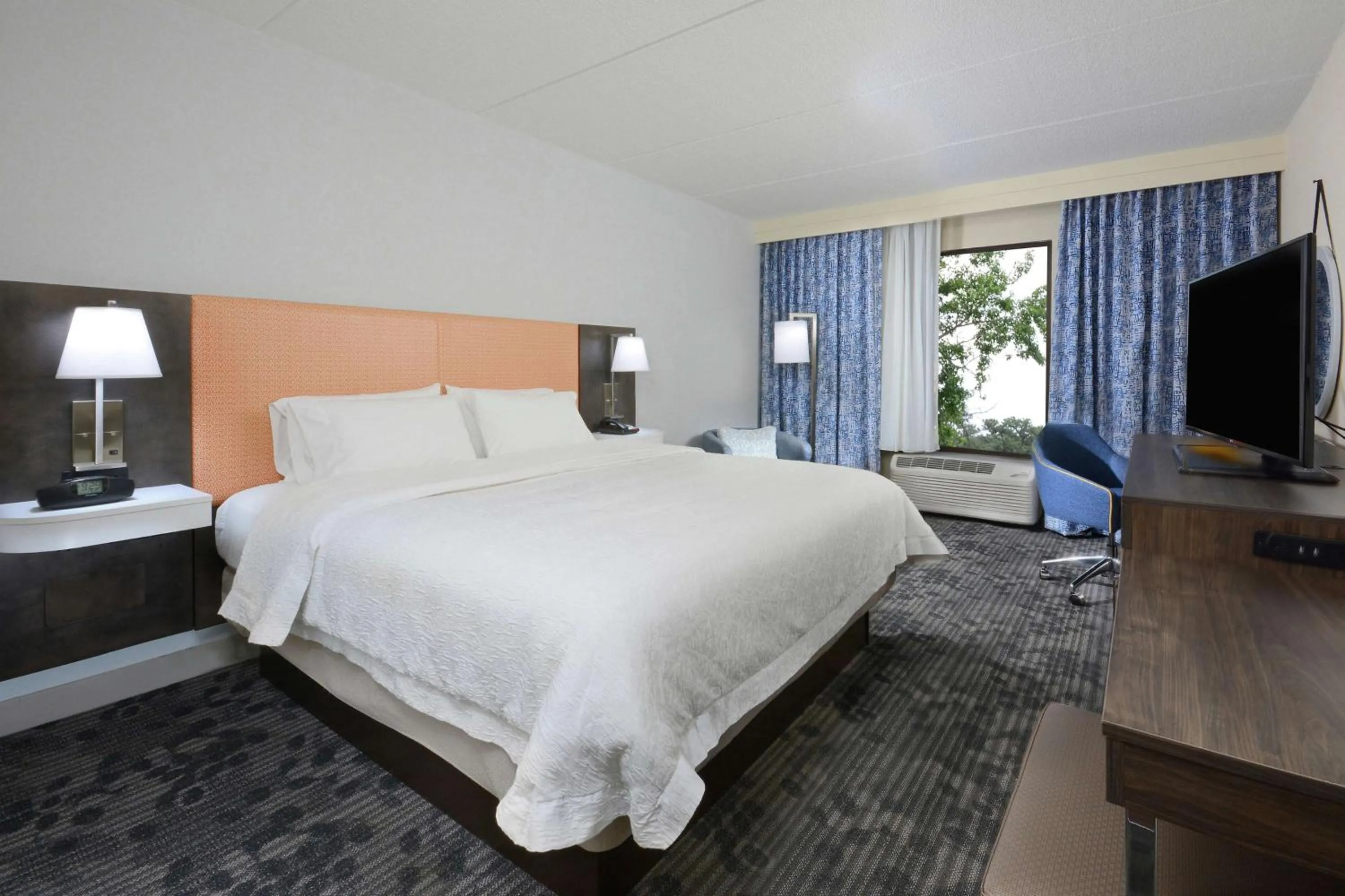King Room with King Bed - Non-Smoking in Hampton Inn & Suites Greenville/Spartanburg I-85