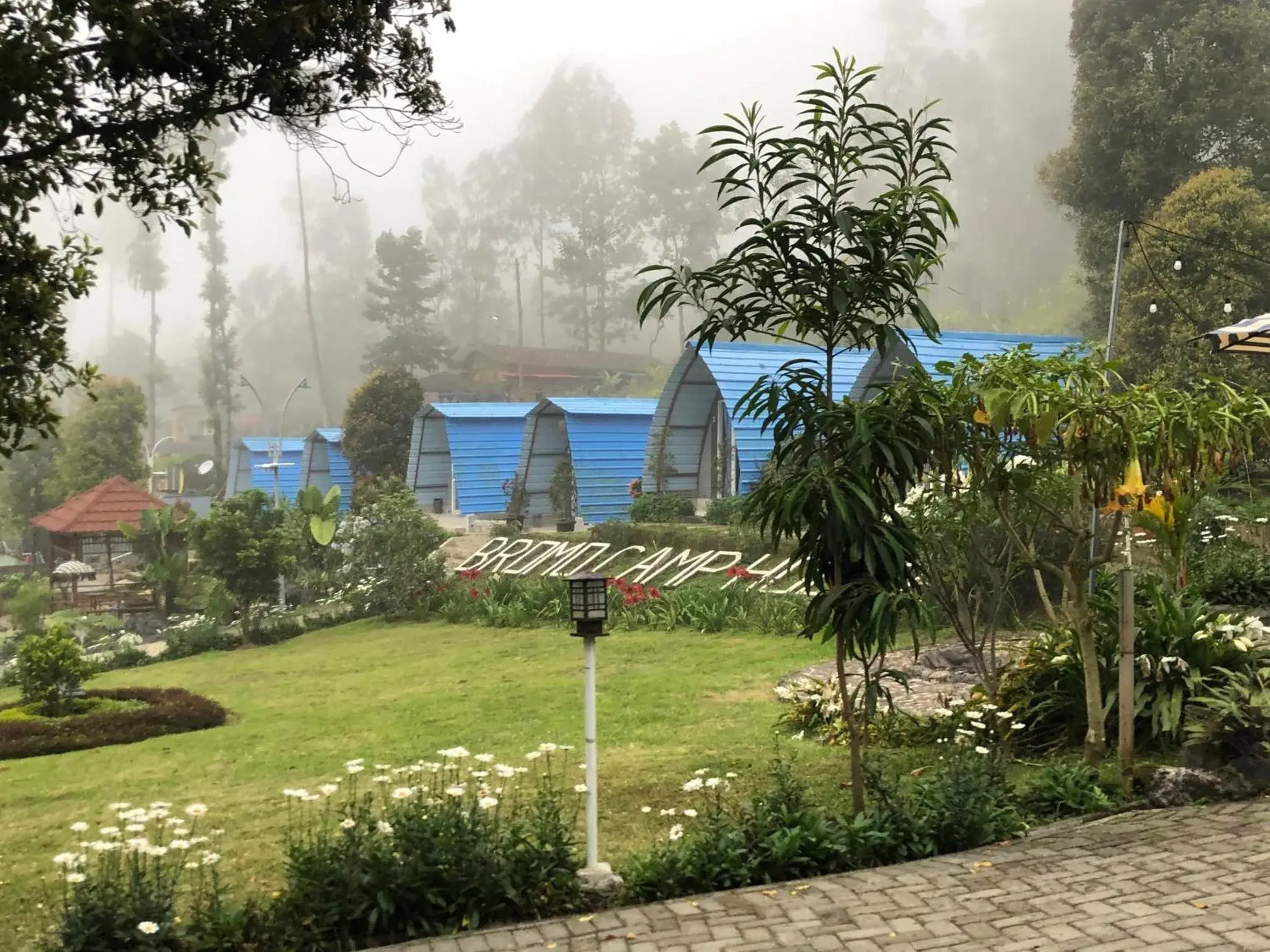 Bromo Camp House Bromo Camp House