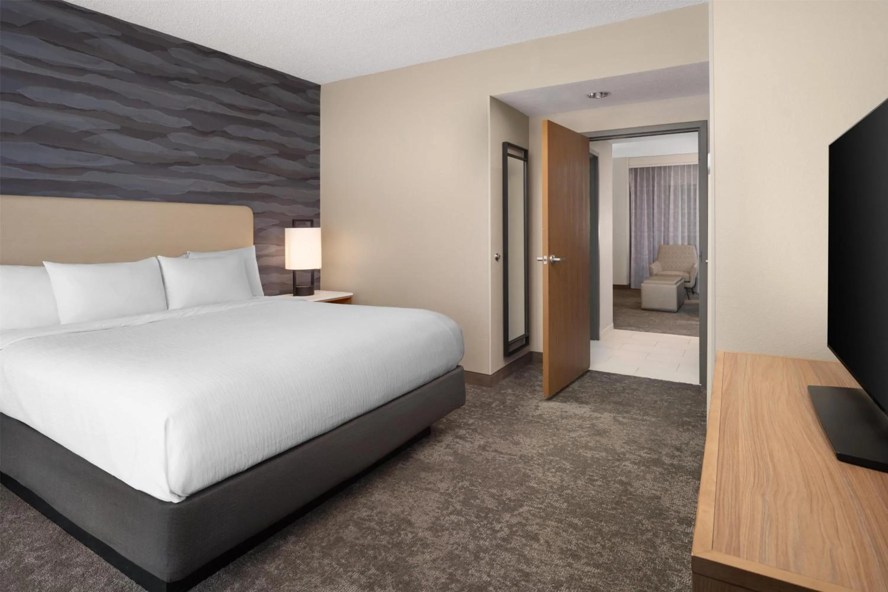 Two-Room King Suite - Non-Smoking in Embassy Suites North Charleston Airport Hotel Convention