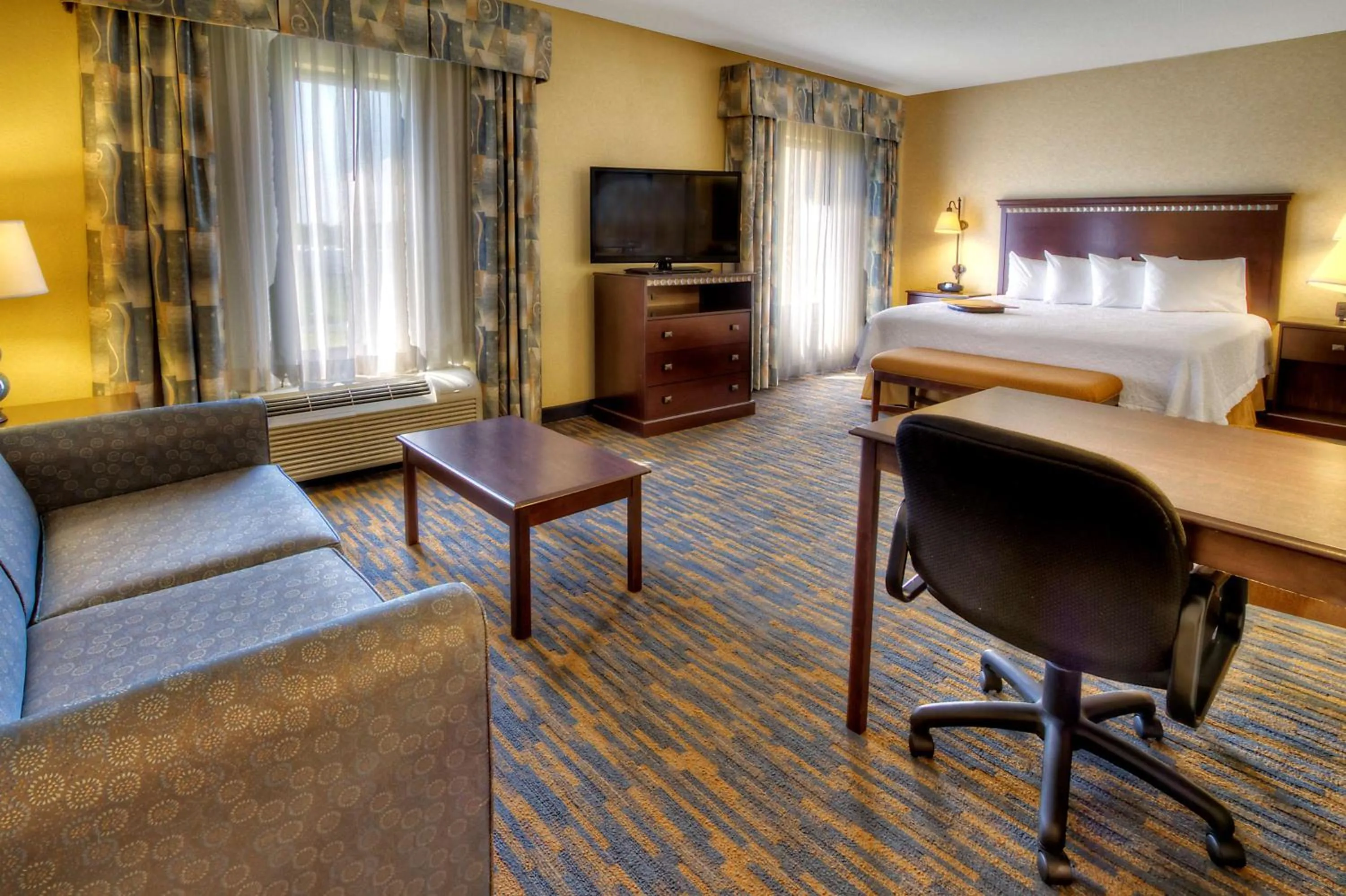 King Studio with Sofa Bed - Non-Smoking in Hampton Inn Roanoke Rapids