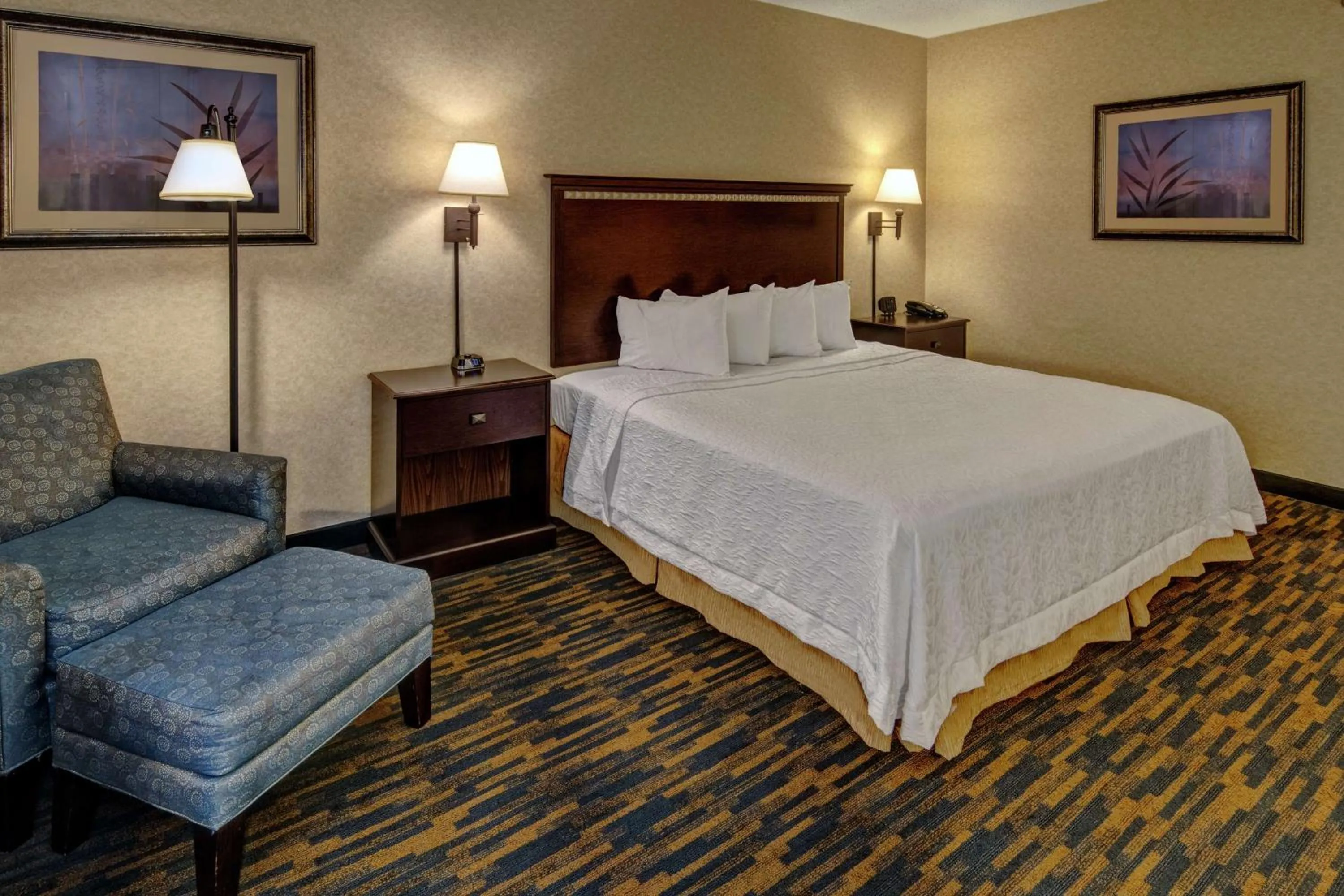 King Room - Mobility Access/Non-Smoking in Hampton Inn Roanoke Rapids