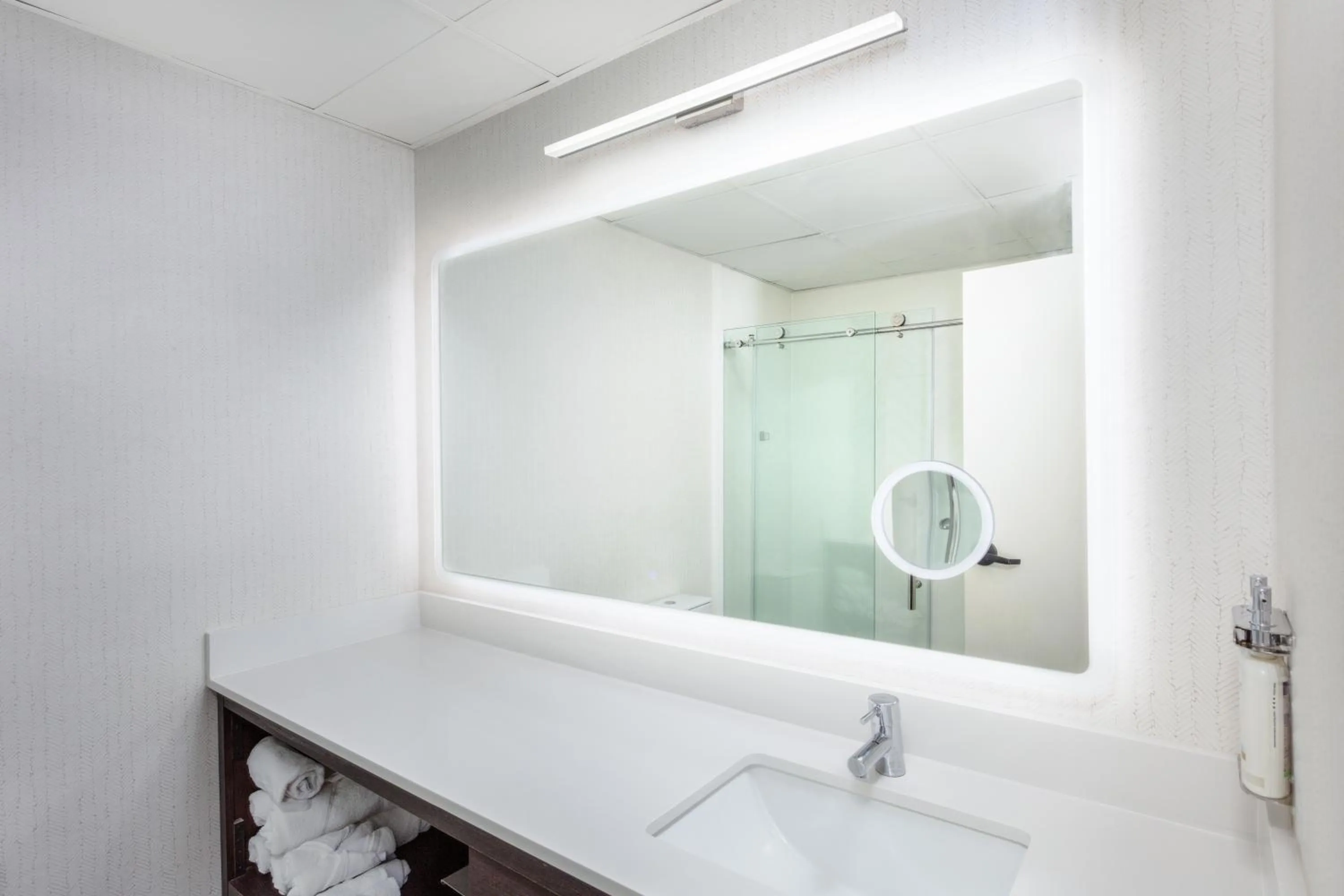 One-Bedroom Suite in Holiday Inn & Suites Springfield - I-44 by IHG