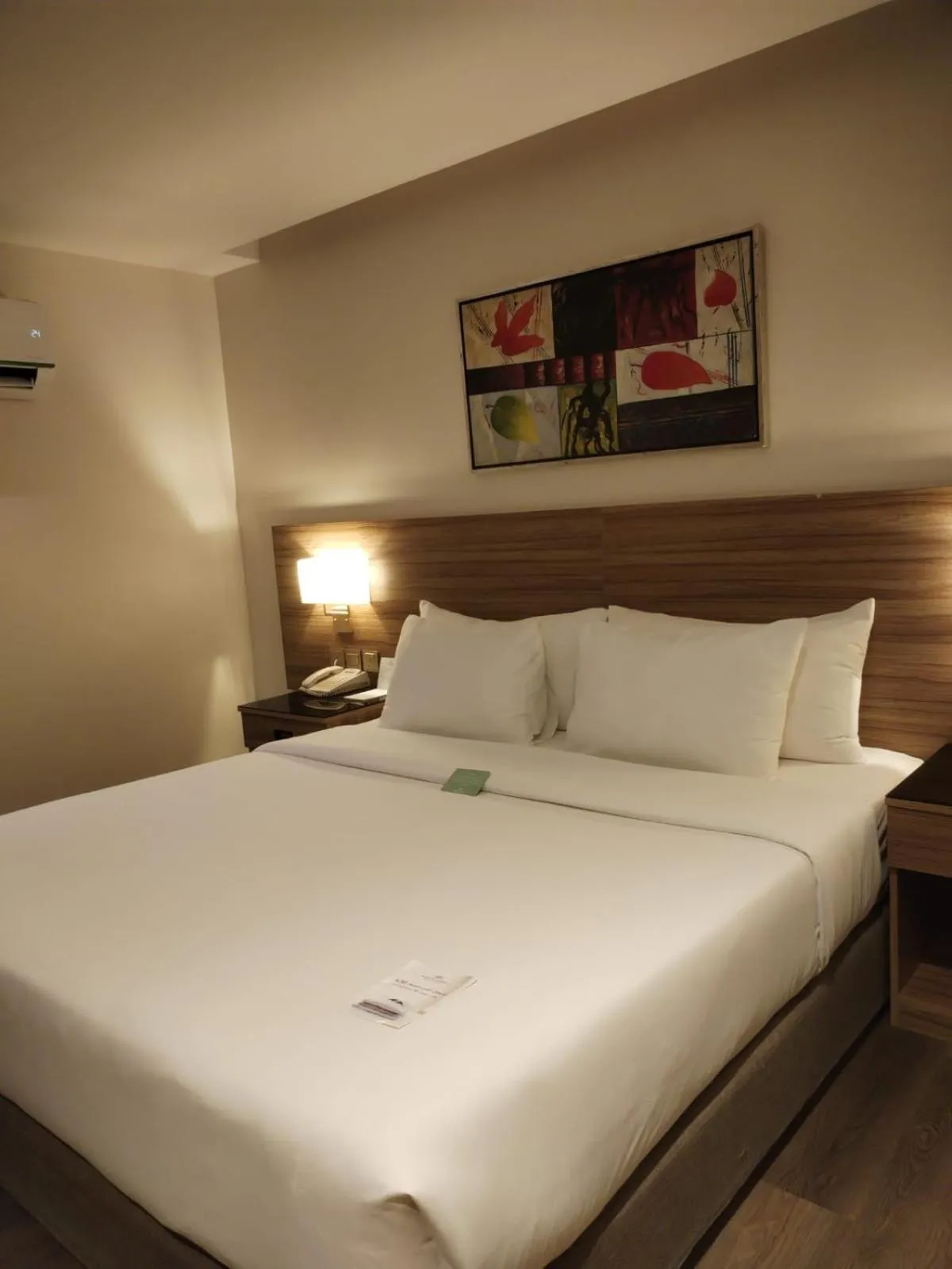 Deluxe King Room - single occupancy in Boudl Al Fayhaa