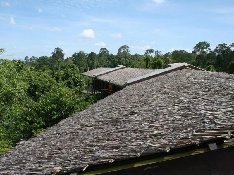 Single Bed in Mixed Dormitory Room in Paganakan Dii Tropical Retreat