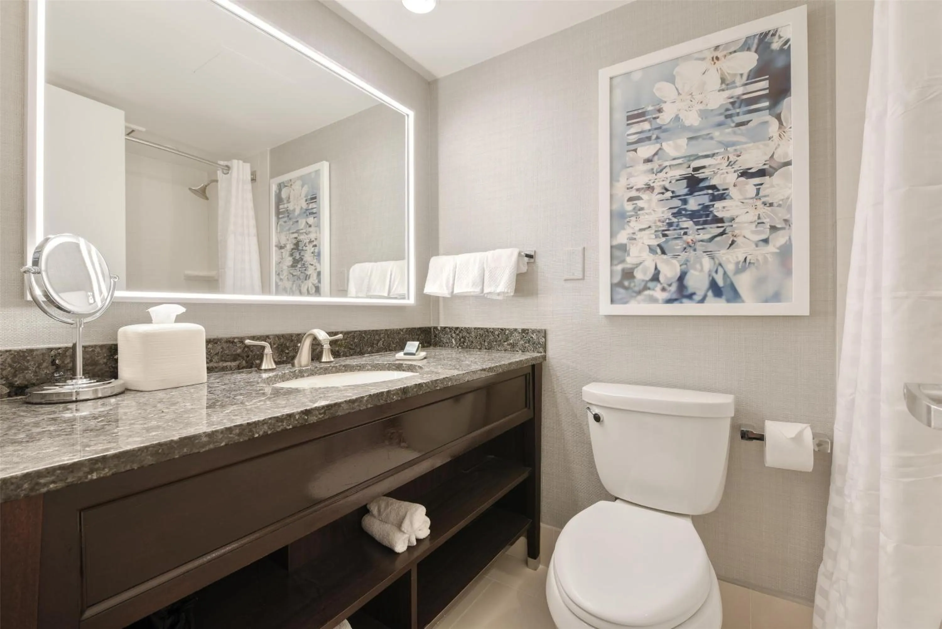 King Room in Capital Hilton