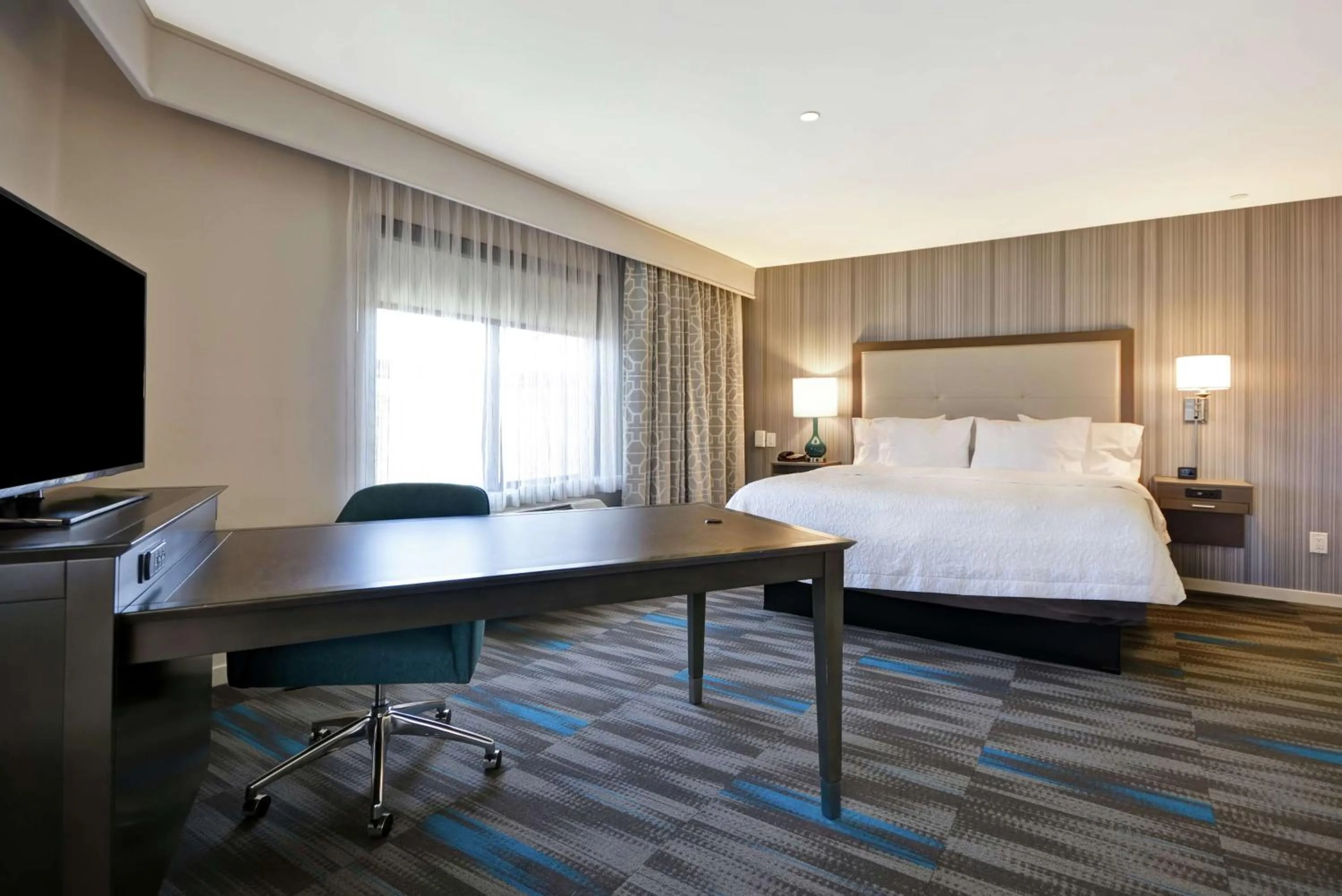 King Studio Suite with Sofa Bed - Non-Smoking in Hampton Inn & Suites Los Angeles Burbank Airport