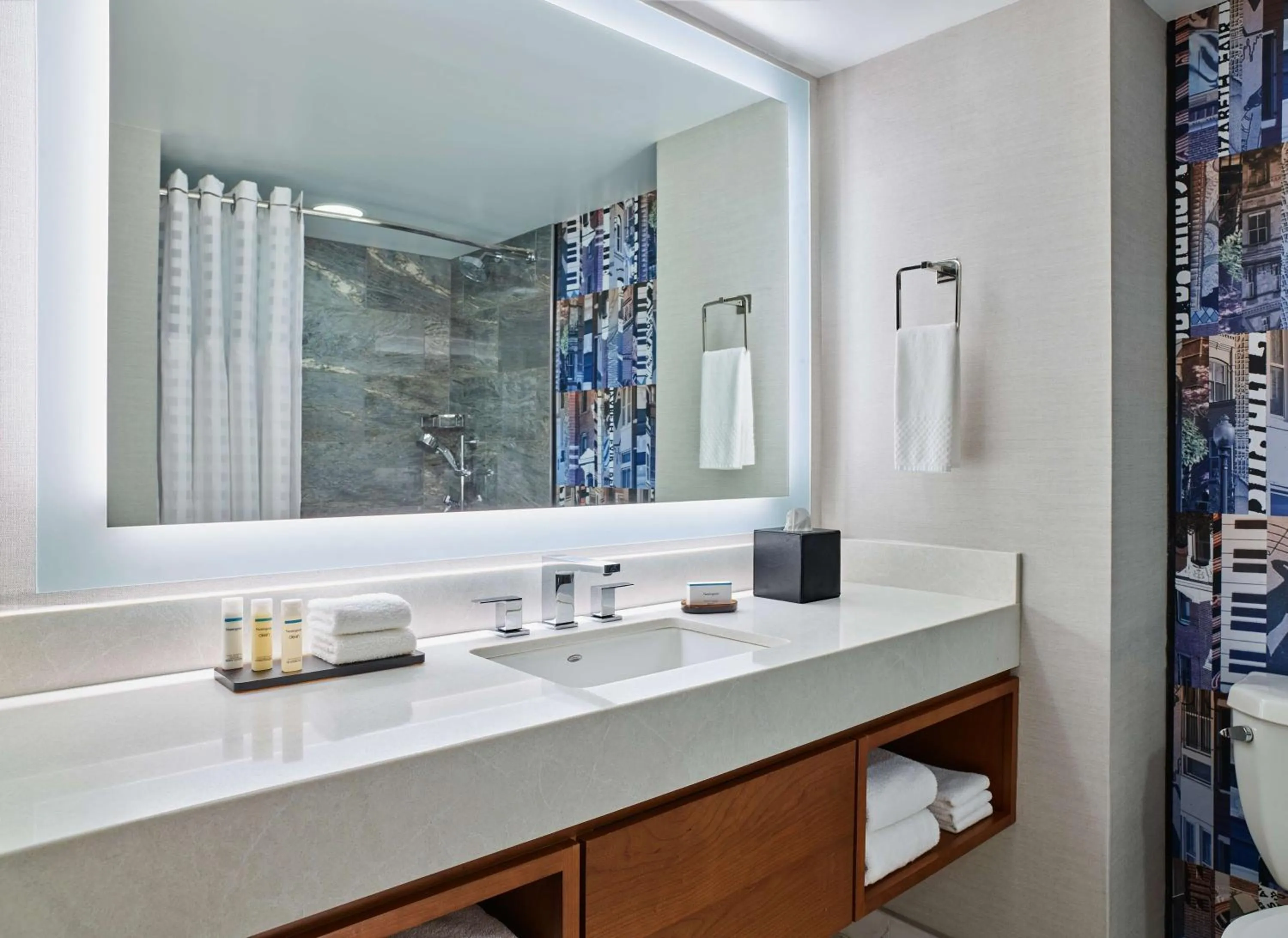 Executive King Suite - Non-Smoking in Embassy Suites by Hilton Washington DC Convention Center