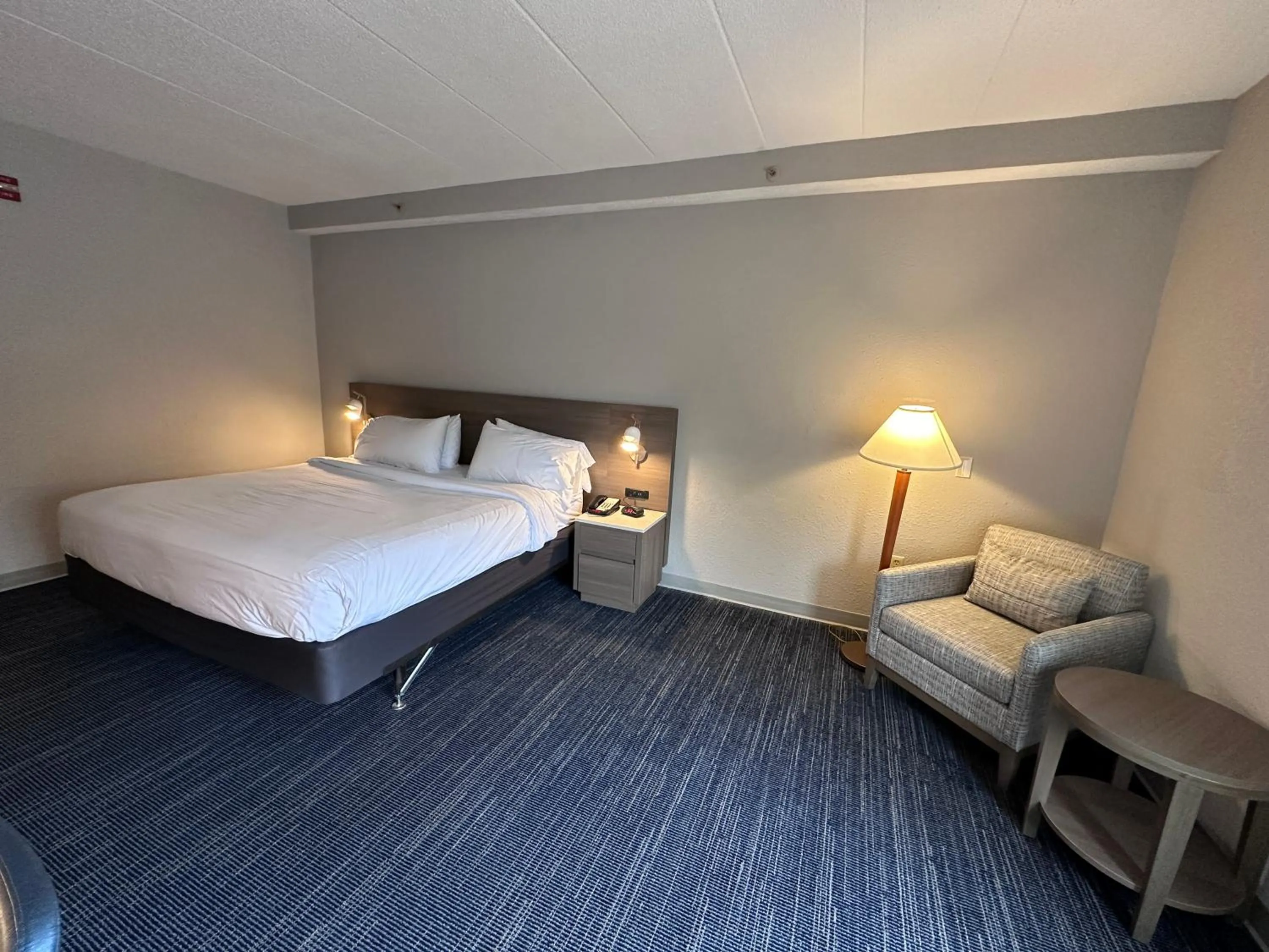 King Room with Tub and Grab Bars - Mobility/Hearing Accessible - Non-Smoking in Wingate by Wyndham Waynesboro