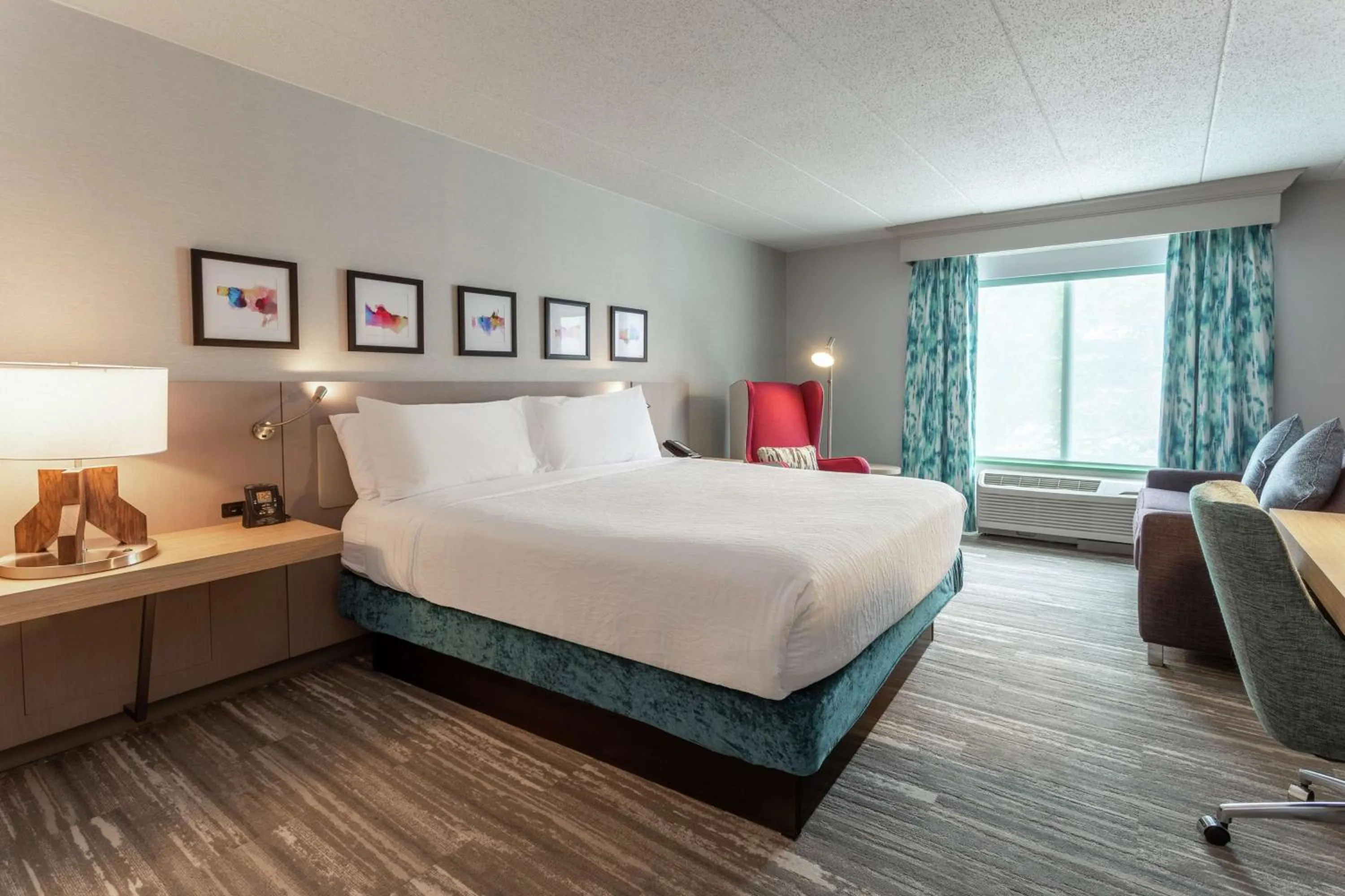 King Room with Sofa Bed - Non-Smoking in Hilton Garden Inn Evanston