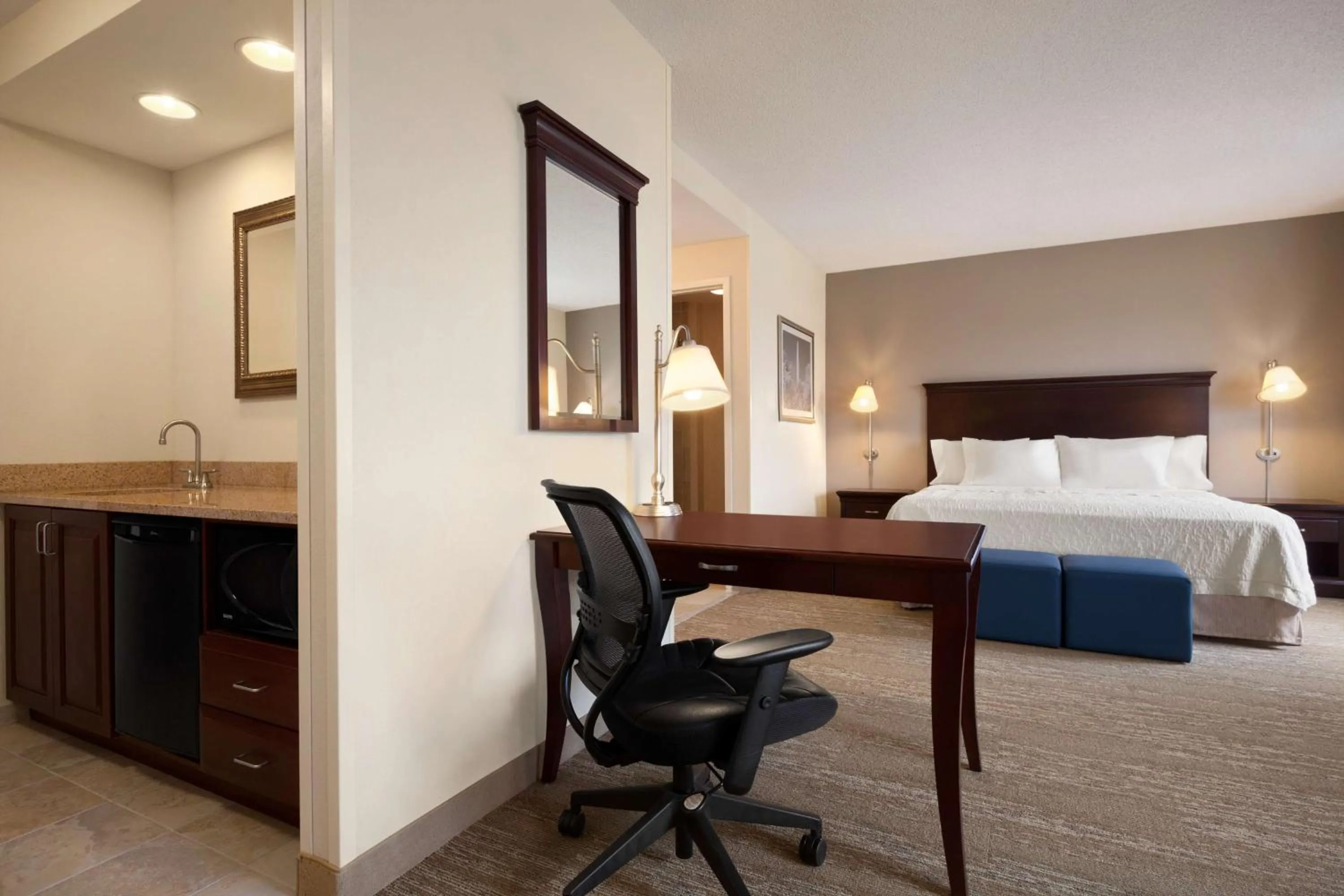 King Studio Suite - Non-Smoking in Hampton Inn & Suites Washington-Dulles International Airport