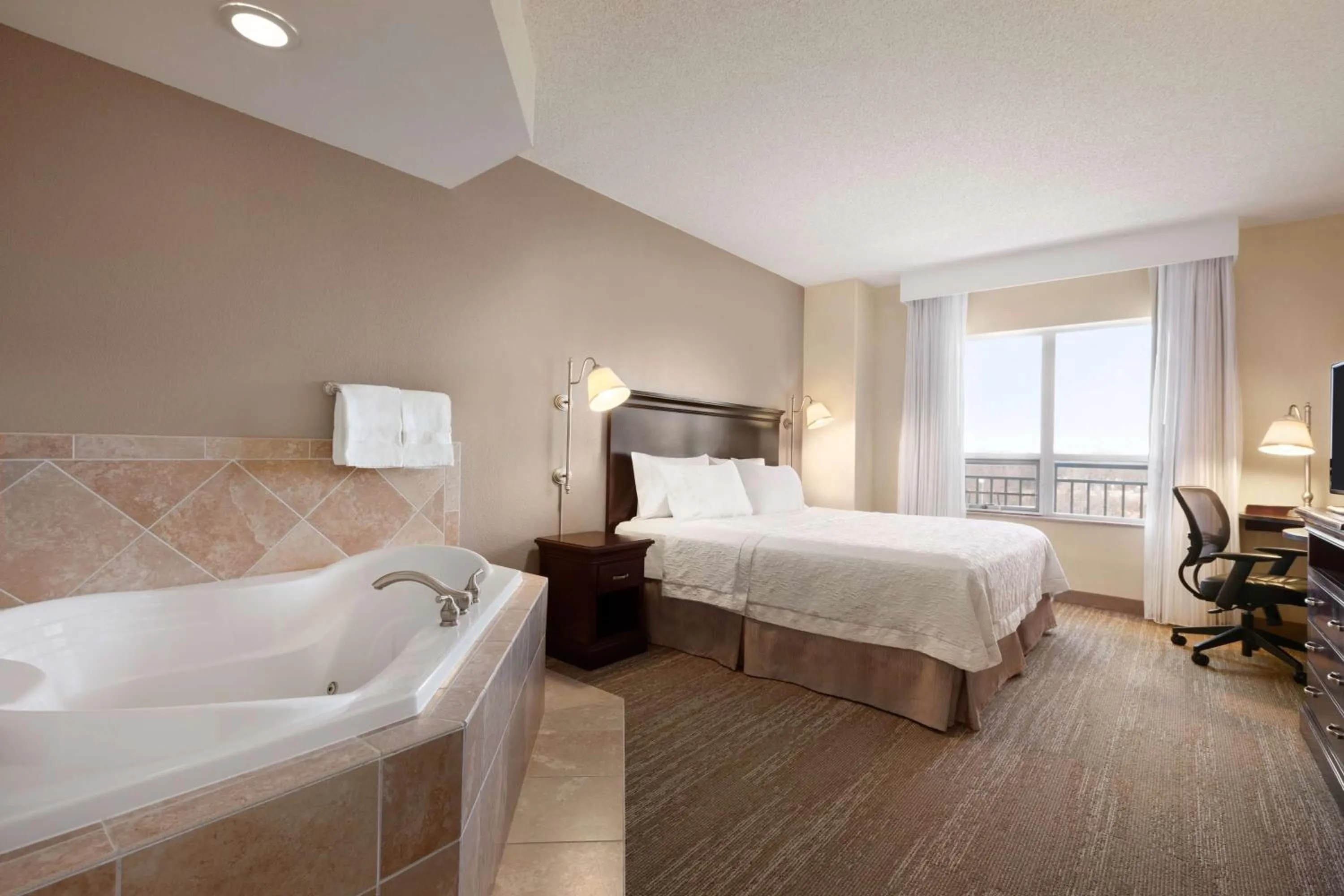 King Room with Spa Bath in Hampton Inn & Suites Washington-Dulles International Airport