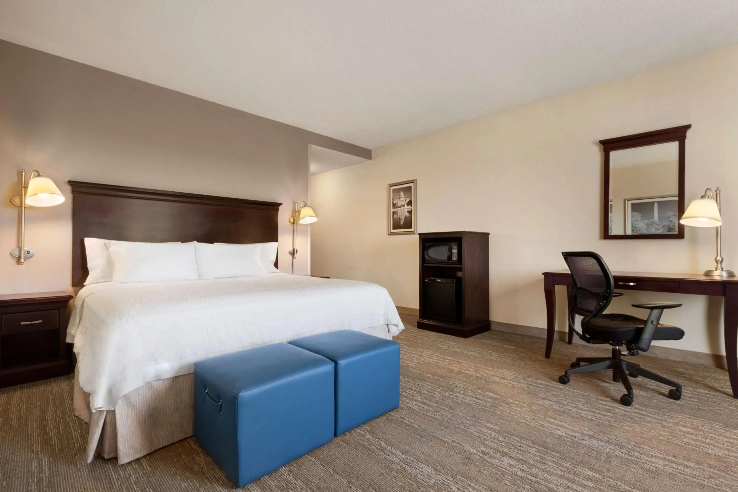 King Room with Accessible Tub - Mobility and Hearing Access/Non-Smoking in Hampton Inn & Suites Washington-Dulles International Airport
