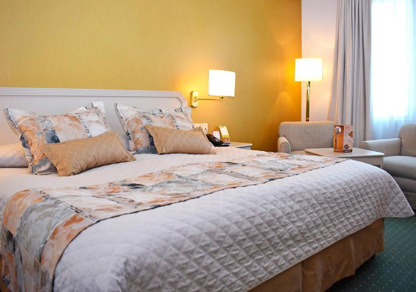 Executive King Room - single occupancy in Hotel Europa