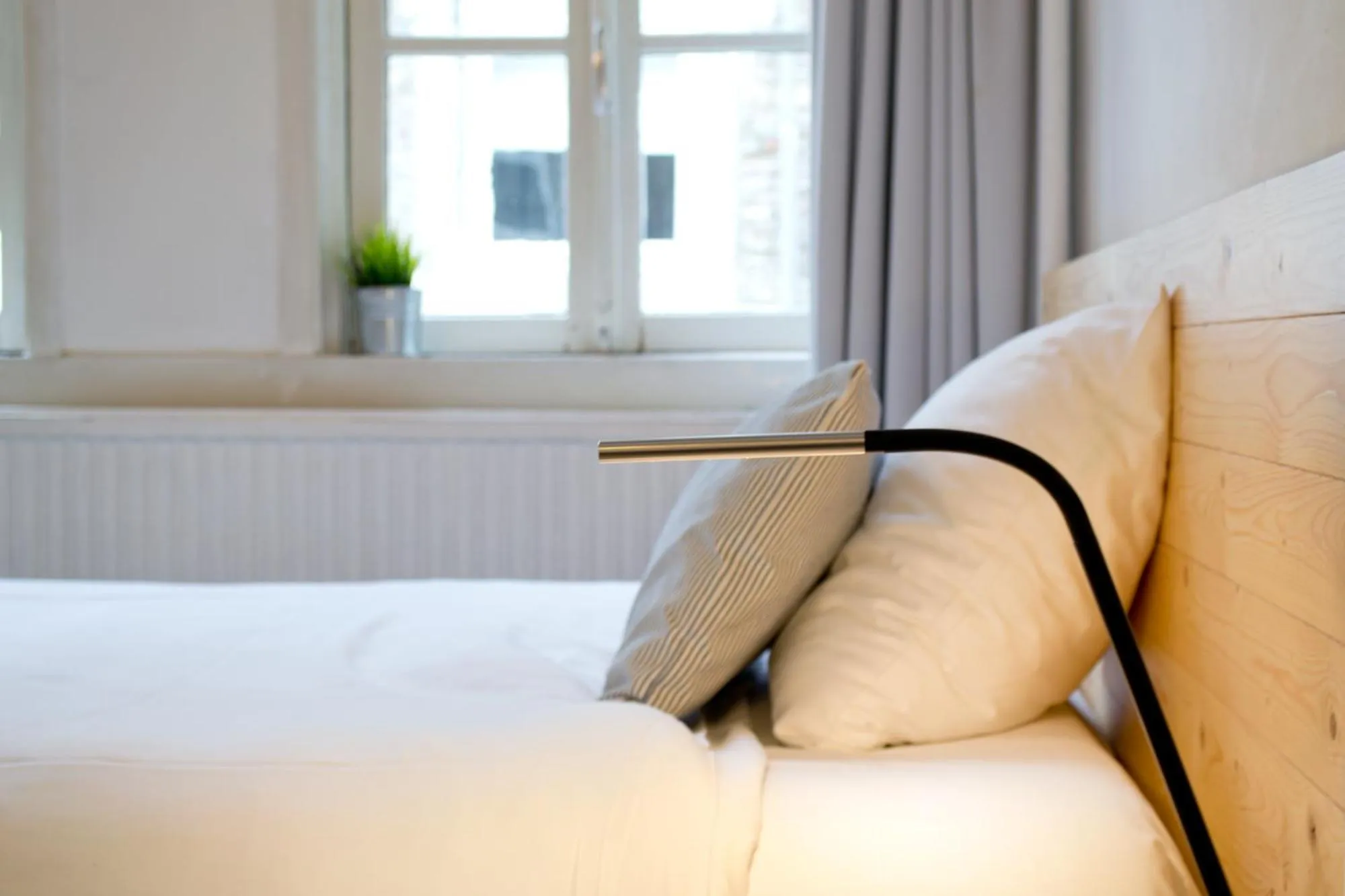 Single Room in Hotel Beez