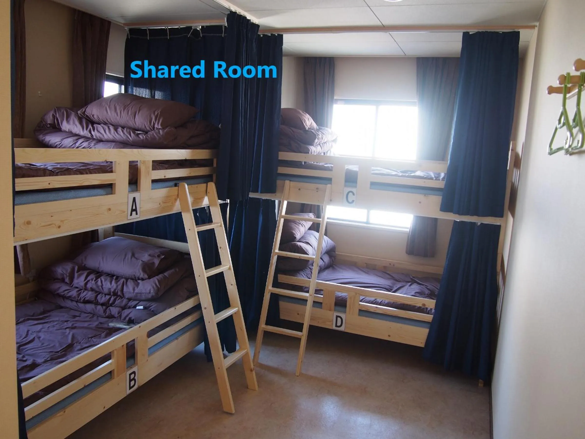 Bunk Bed in Mixed Dormitory Room in Guest House Sonomama