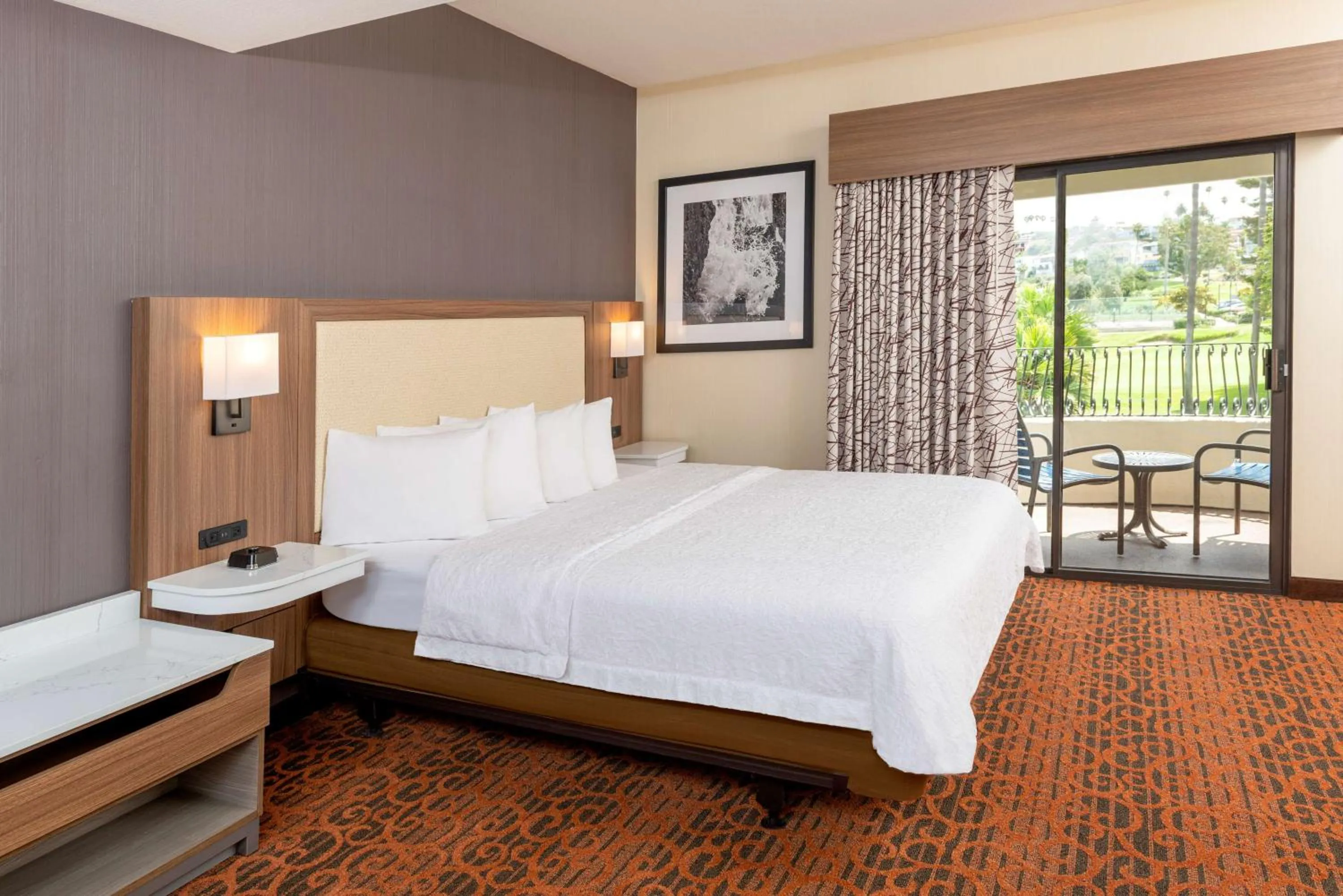 King Room Mobility and Hearing Access/Non-Smoking in Hampton Inn & Suites San Clemente