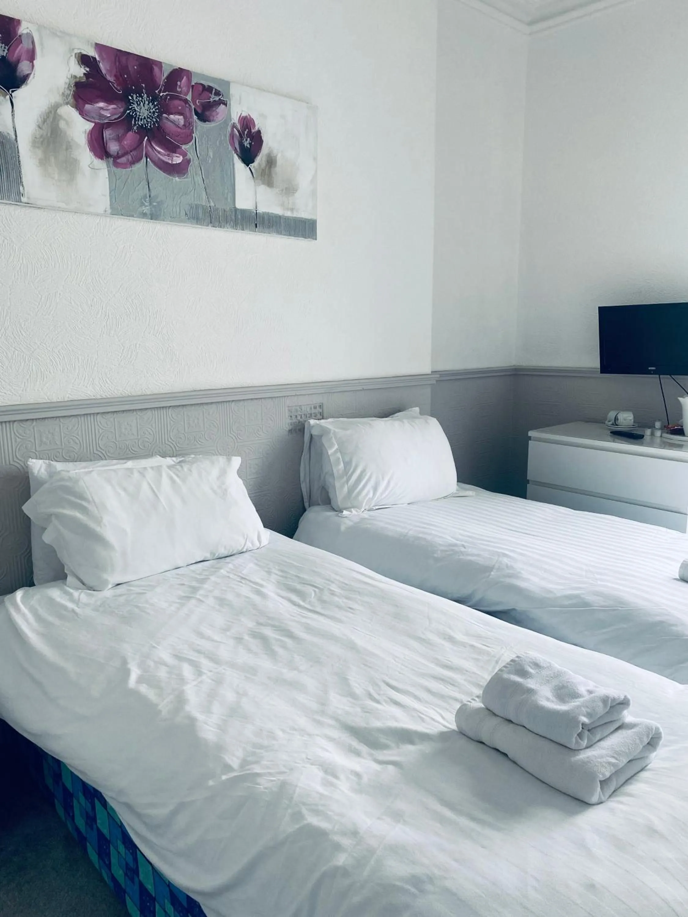 Twin Room with Shower - single occupancy in The Portmann Hotel