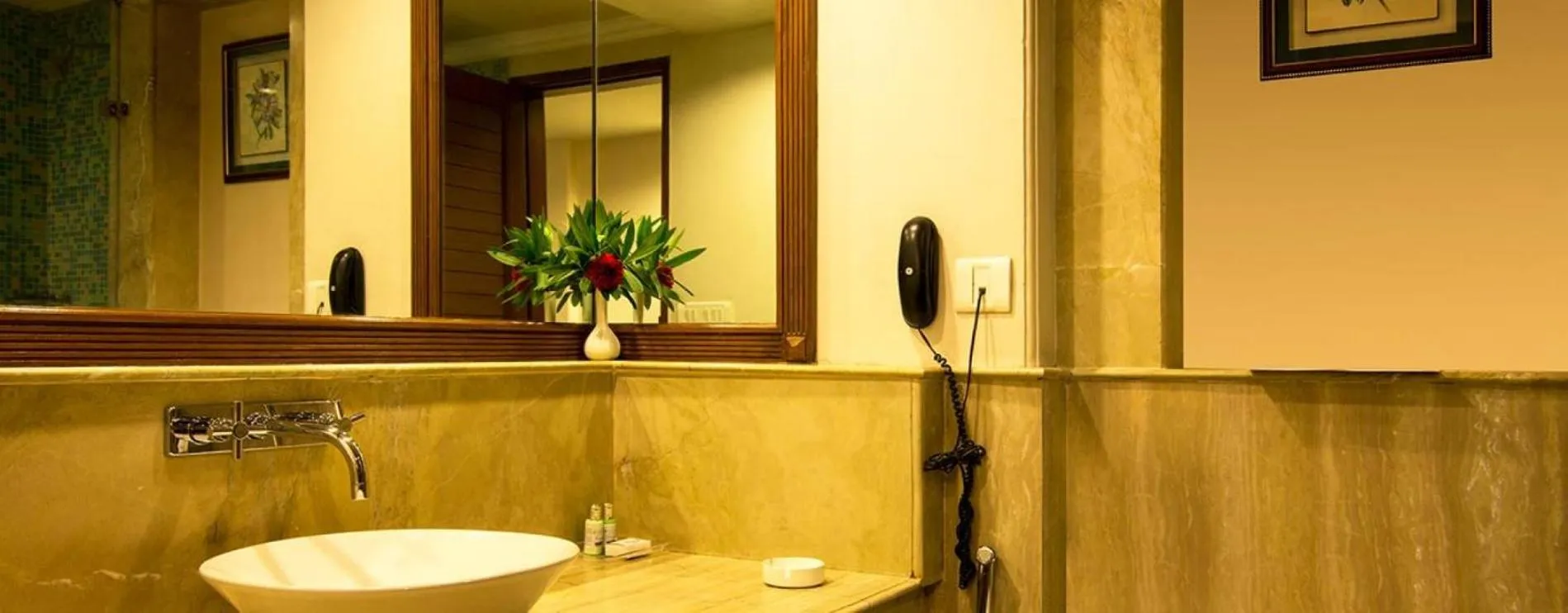 Superior Double or Twin Room in Vikram Vintage Inn