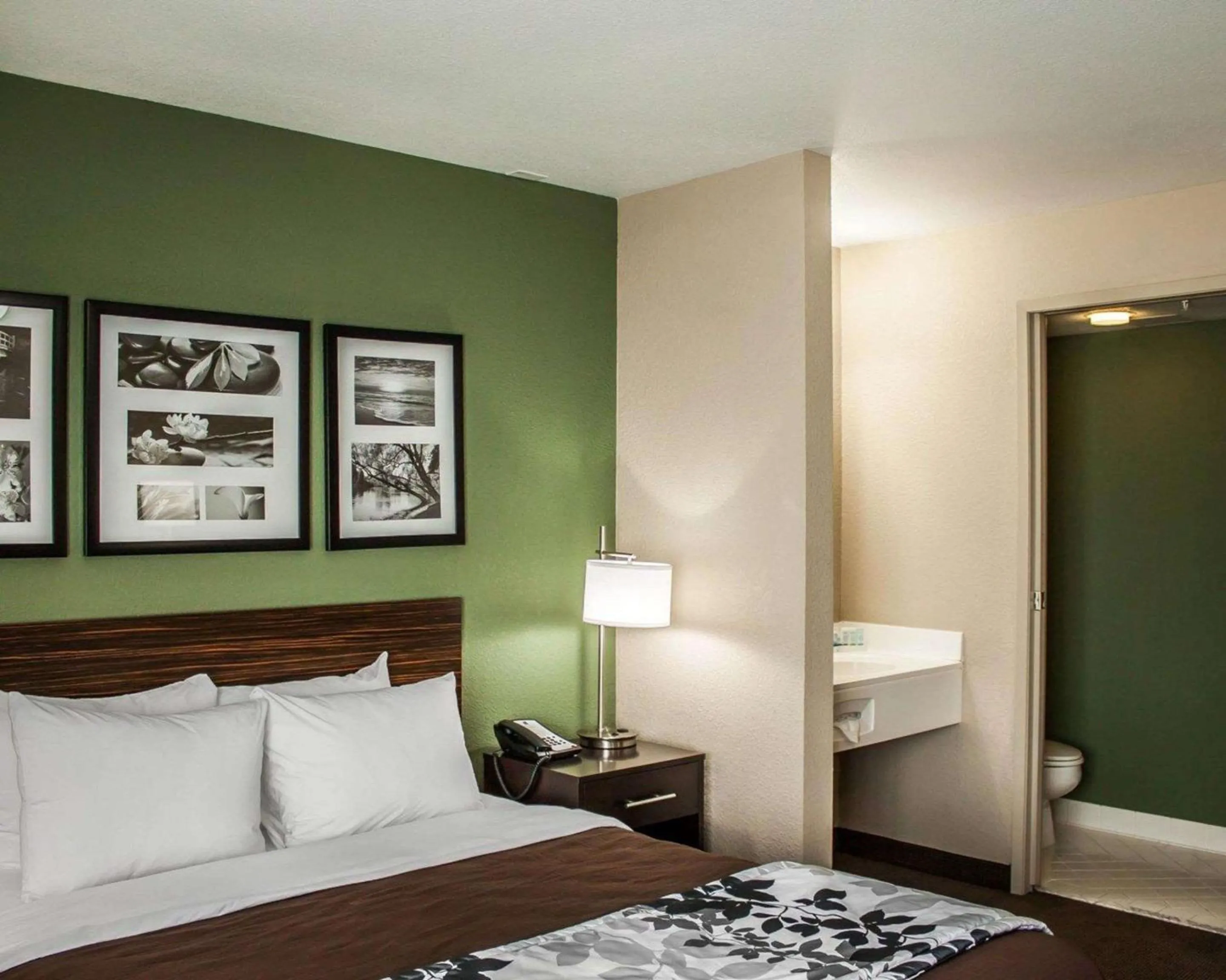 Queen Room - Non-Smoking in Sleep Inn Nampa near Idaho Center