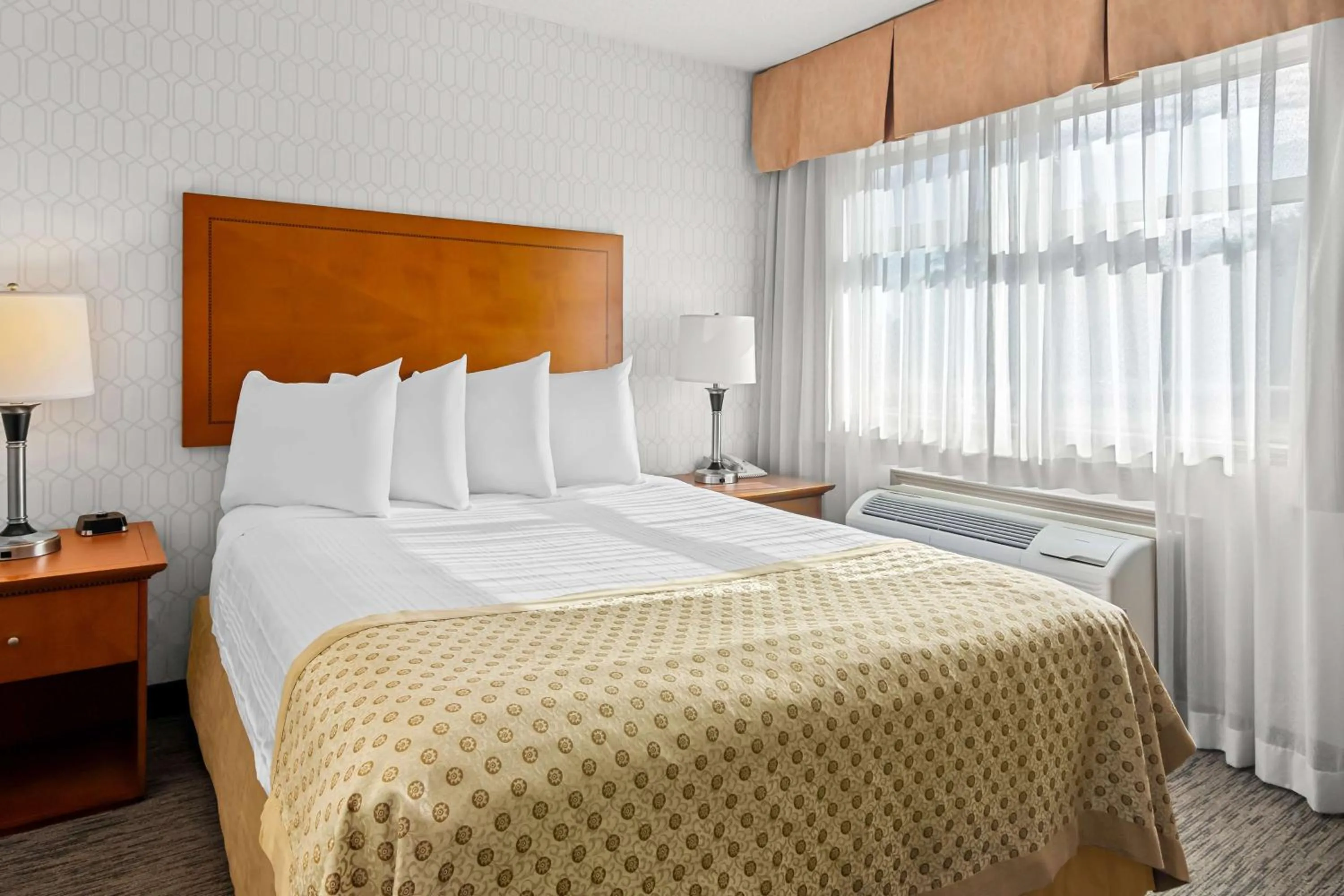 Queen Room with Sofa Bed in Best Western PLUS Langley Inn