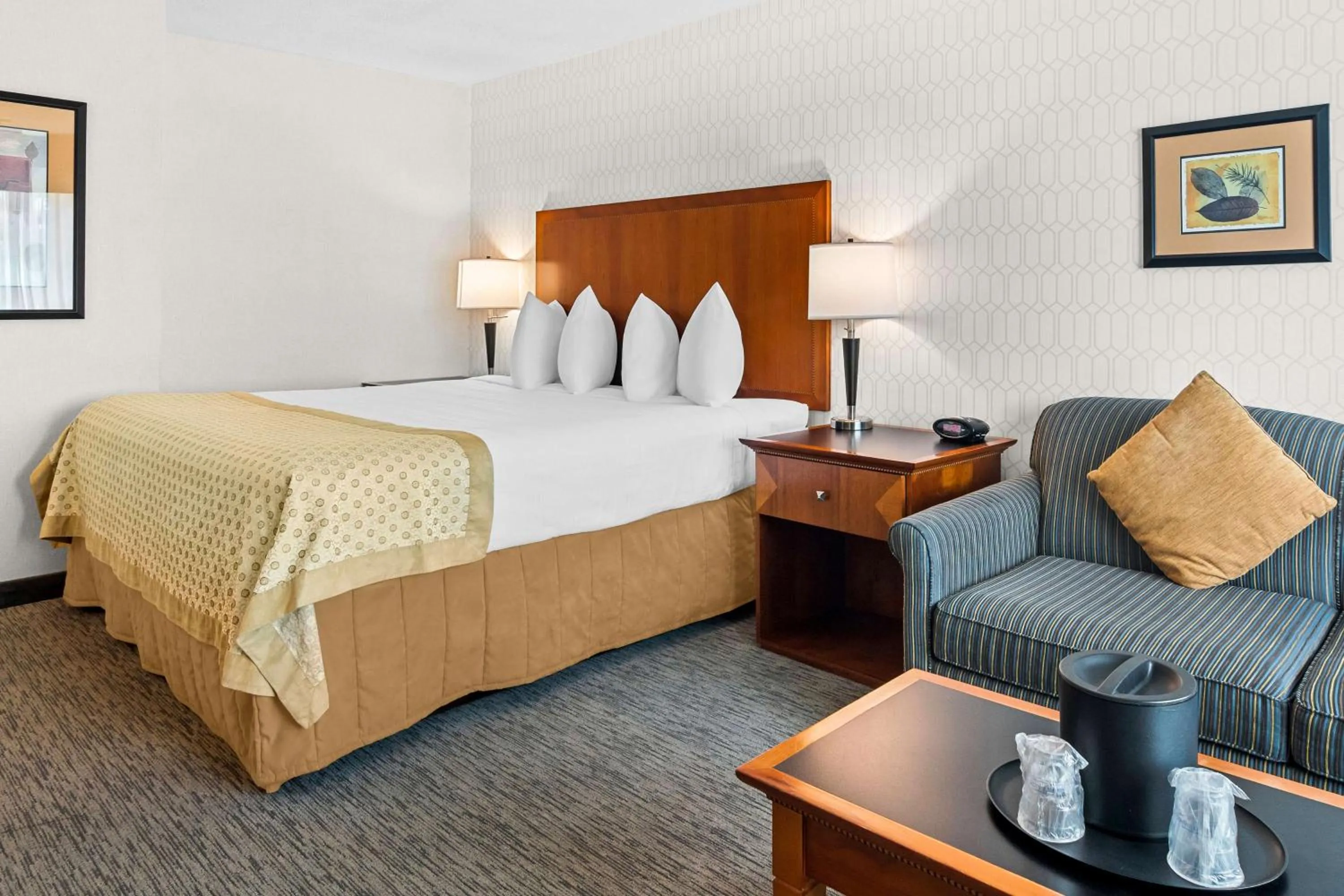 Executive King Room with Sofa Bed in Best Western PLUS Langley Inn