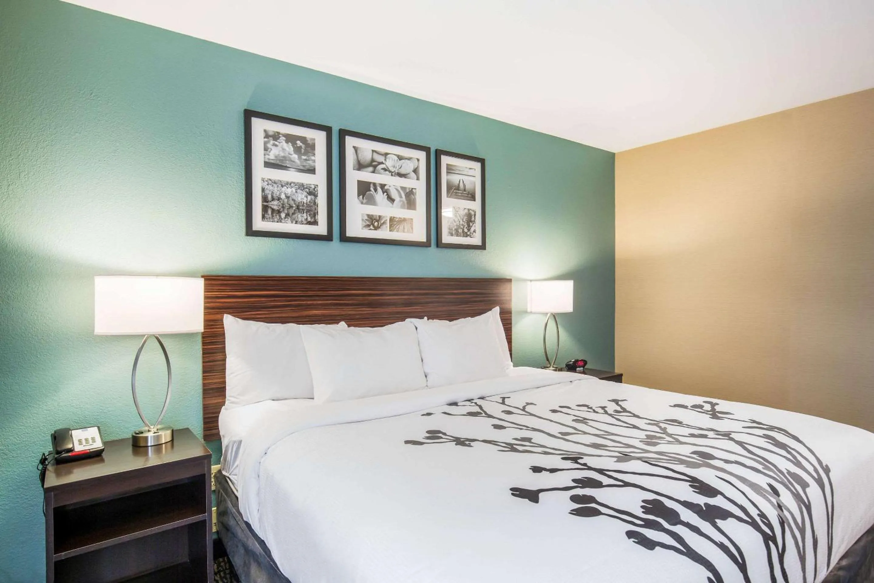 King Room - Disability Access/Non-Smoking in Sleep Inn & Suites Dunmore