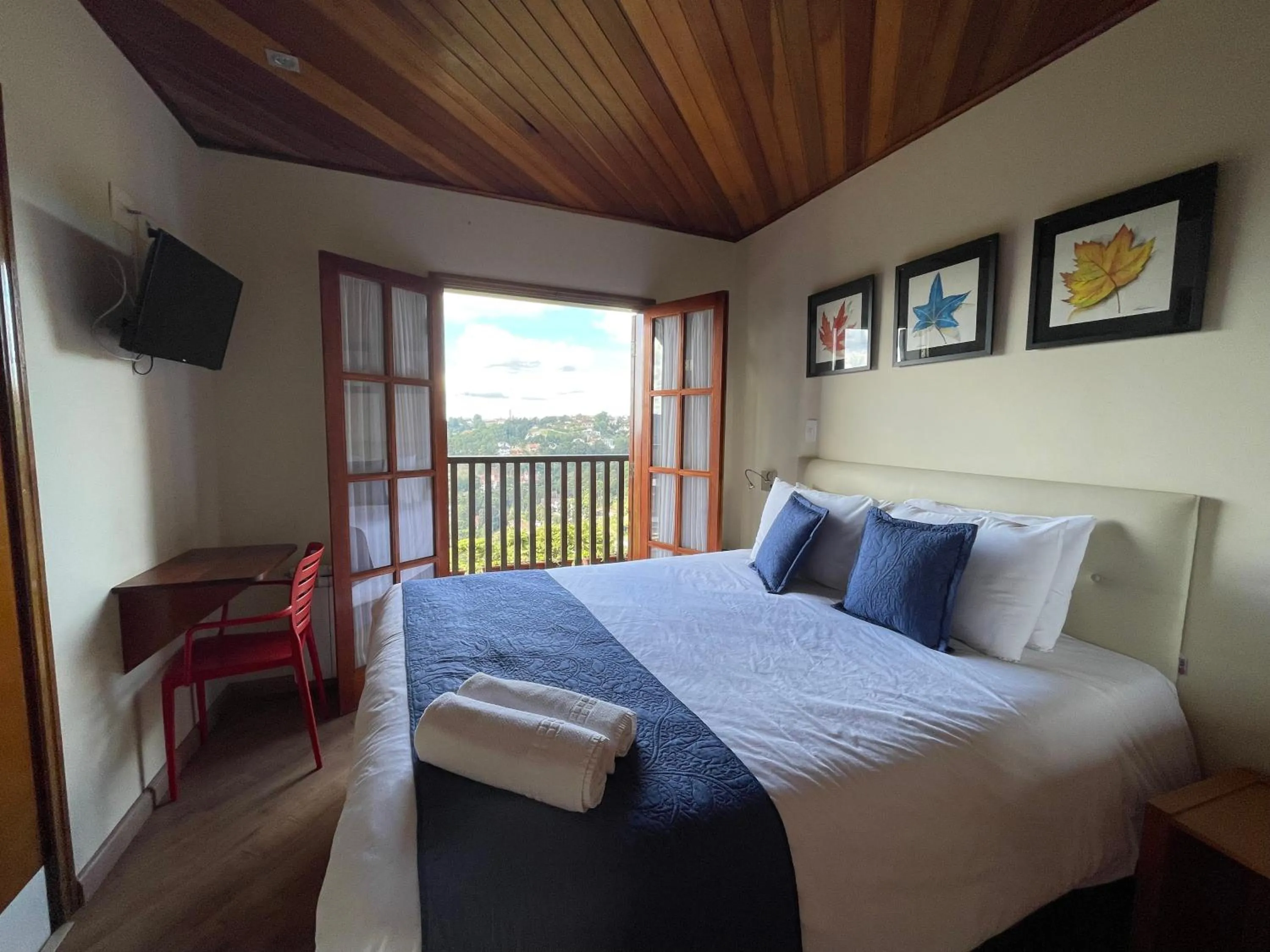Deluxe Double Room - single occupancy in Summit Suítes Hotel Campos do Jordão