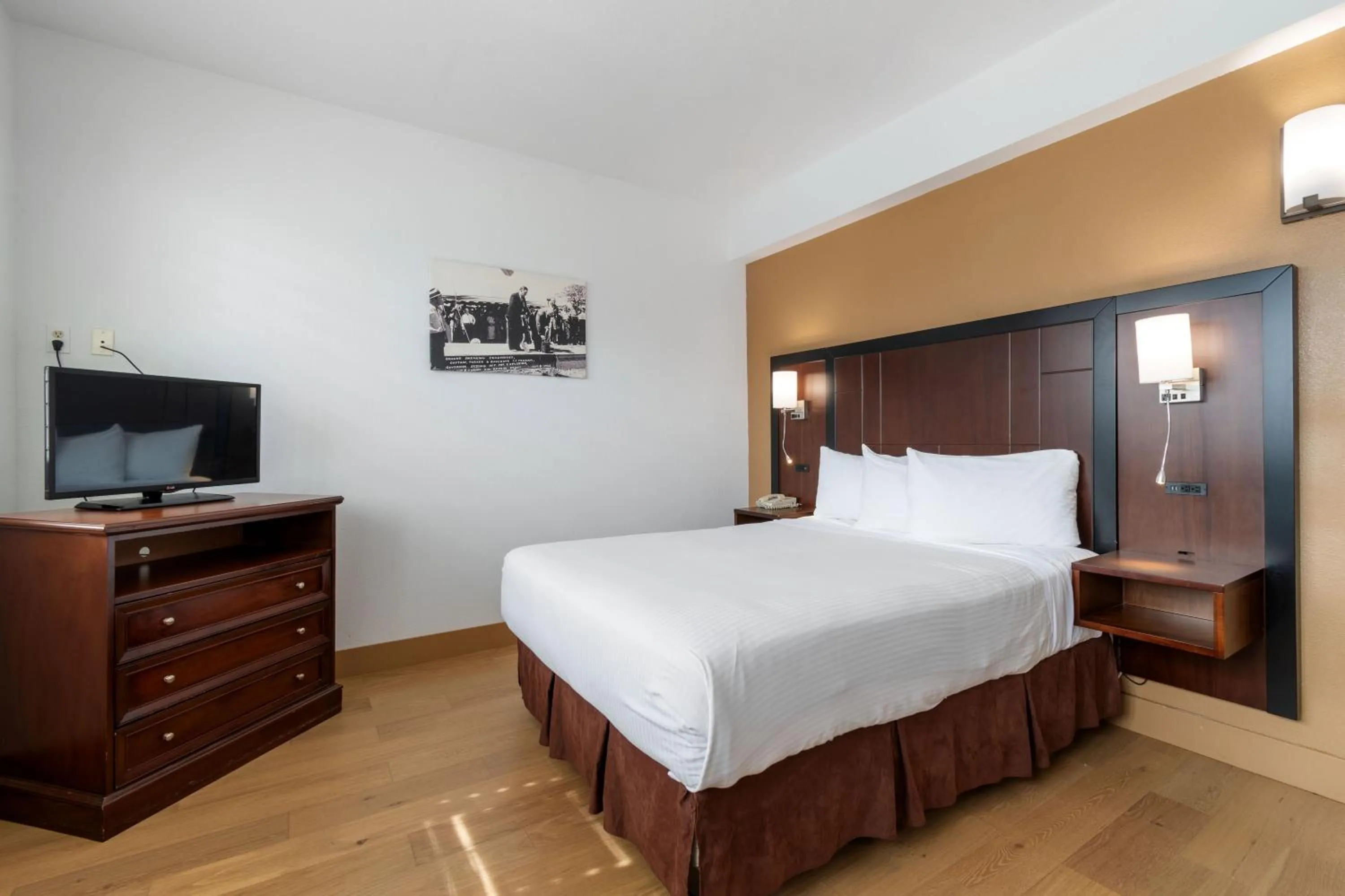 Queen Room - Disability Access in Lions Gate Hotel