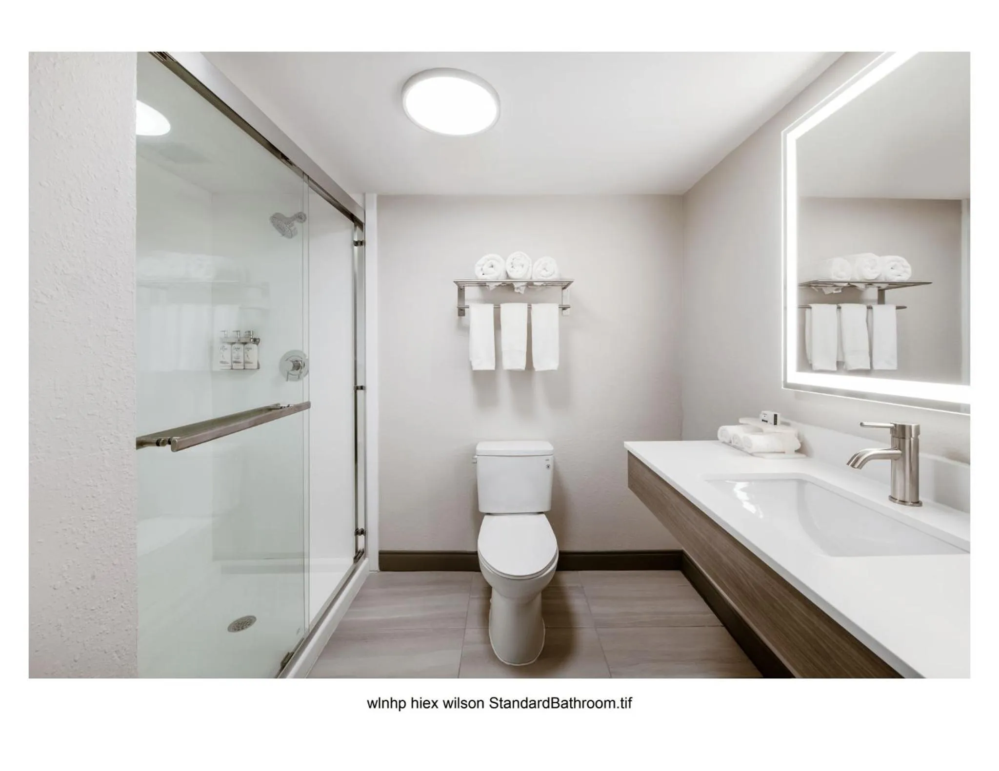 Standard Room in Holiday Inn Express Wilson I-95 by IHG