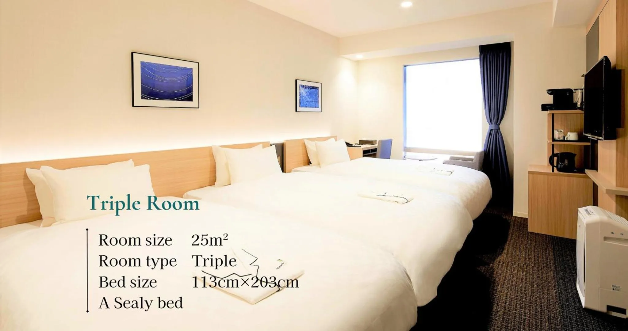 Triple Room - Smoking in Tmark City Hotel Tokyo Omori