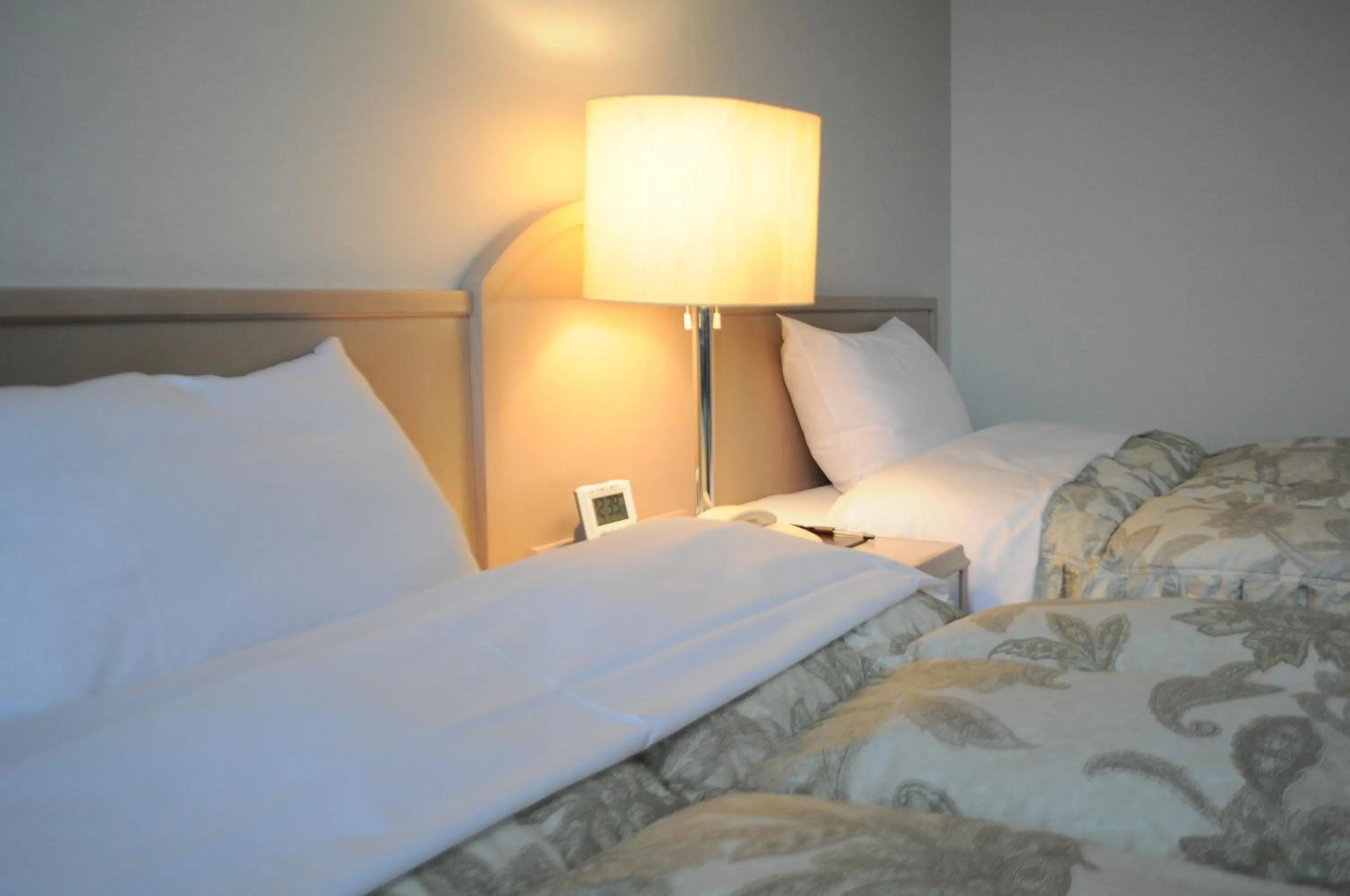 Standard Room-Non Smoking room in Hotel Sunfuraton