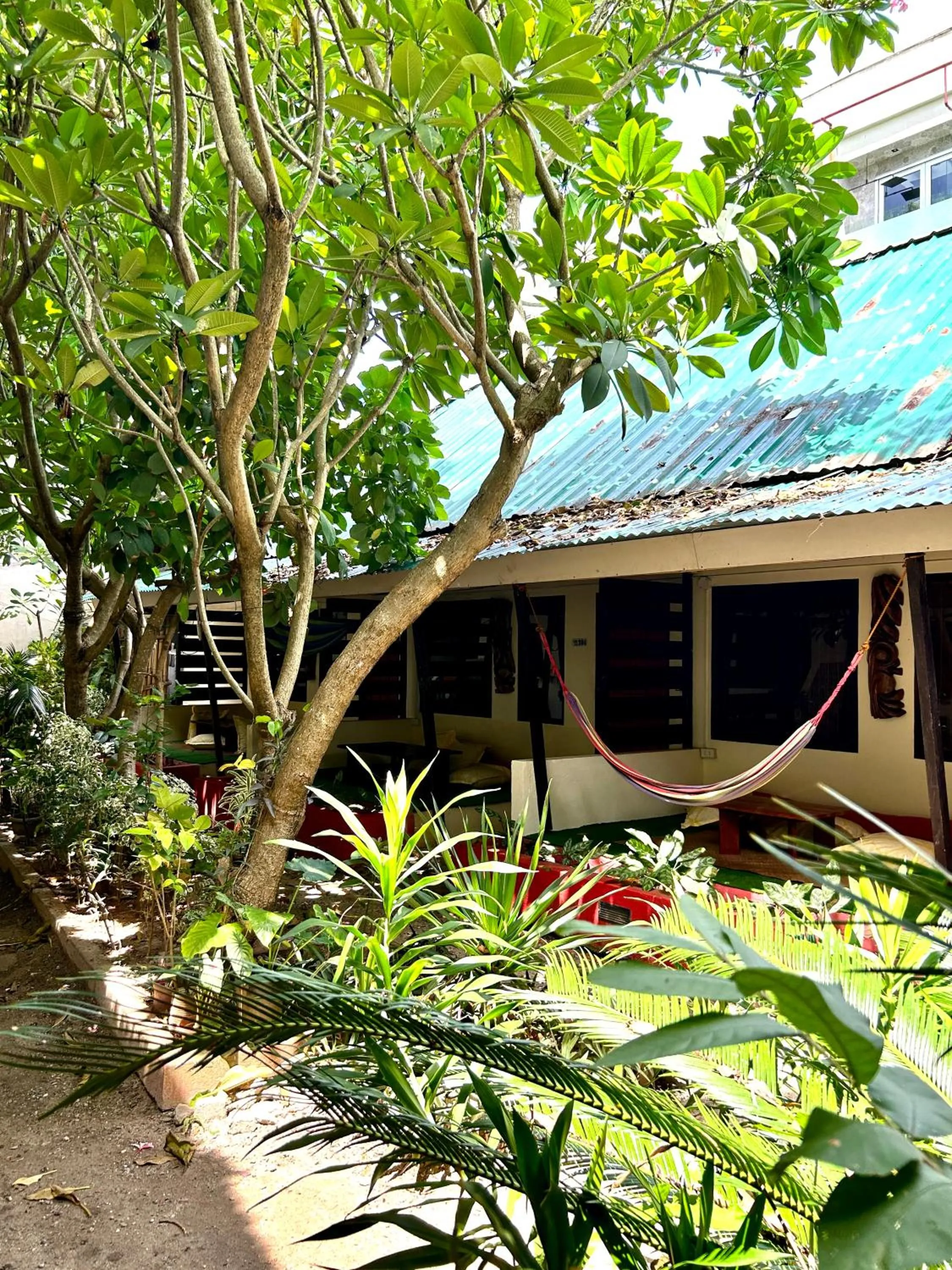 Triple Room - single occupancy in Lazy Dog Bed & Breakfast