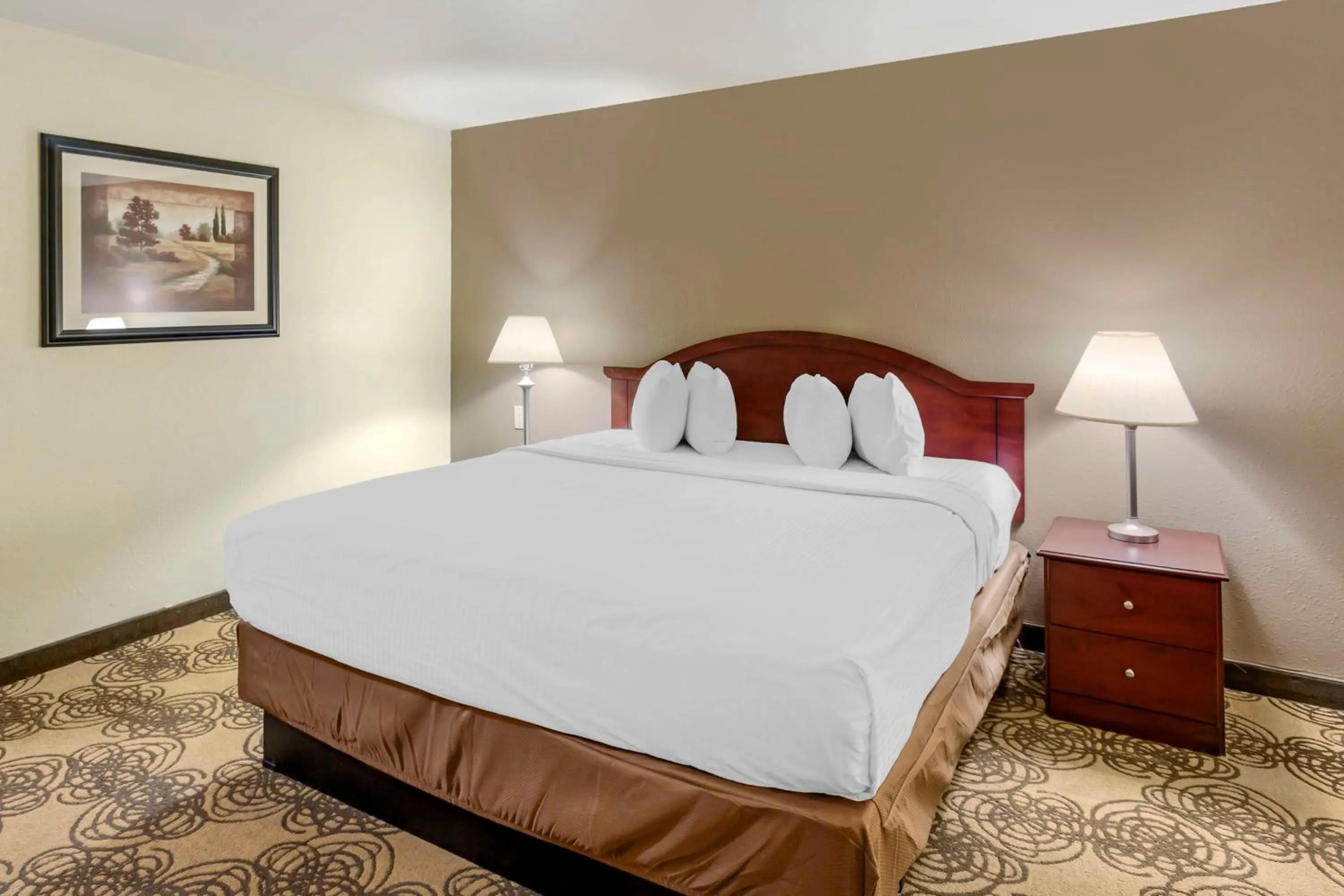 King Room with Bath Tub - Disability Access/Non-Smoking  in Best Western Elko Inn