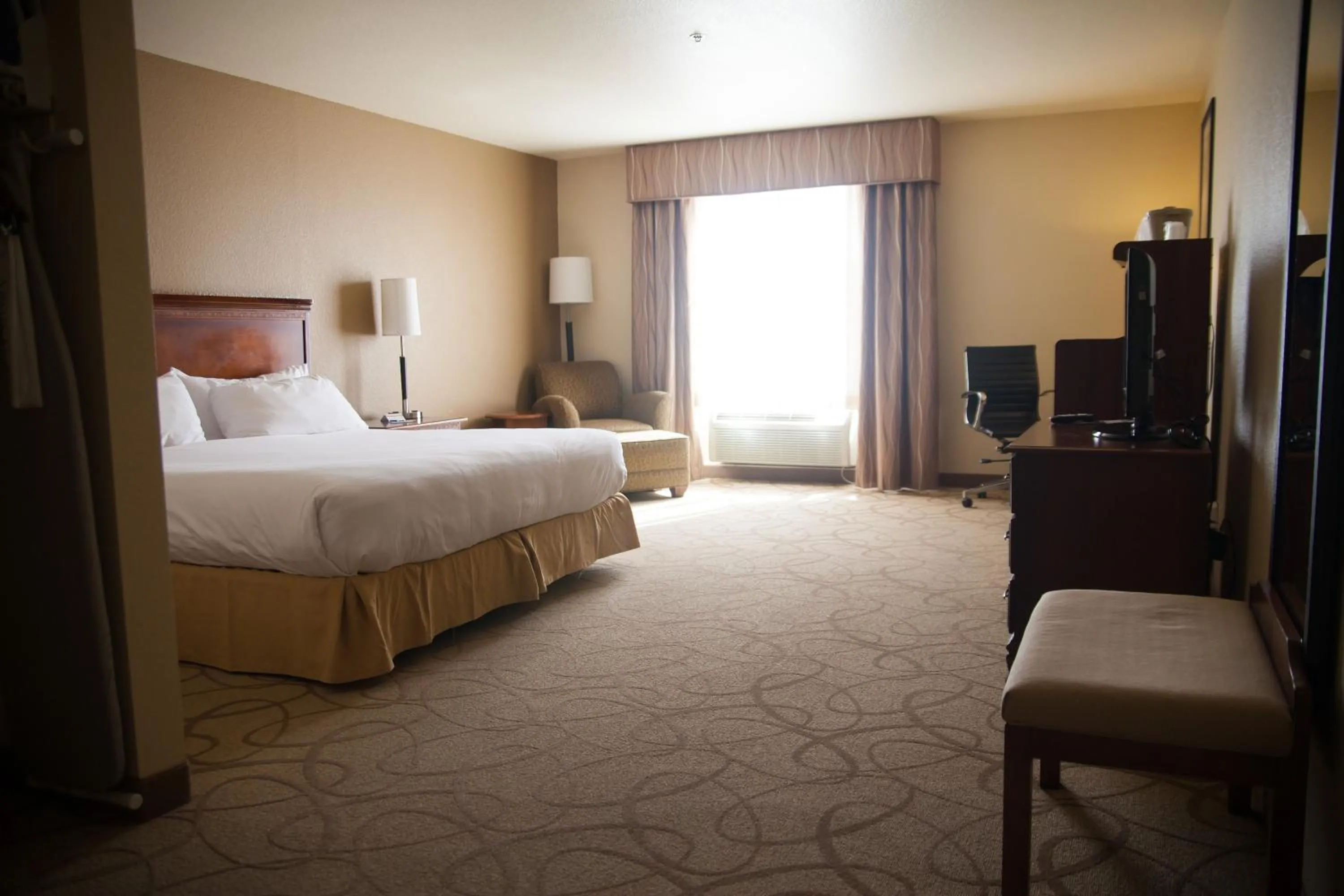 Standard King Room in Holiday Inn Express Hotels & Suites Mountain Home by IHG