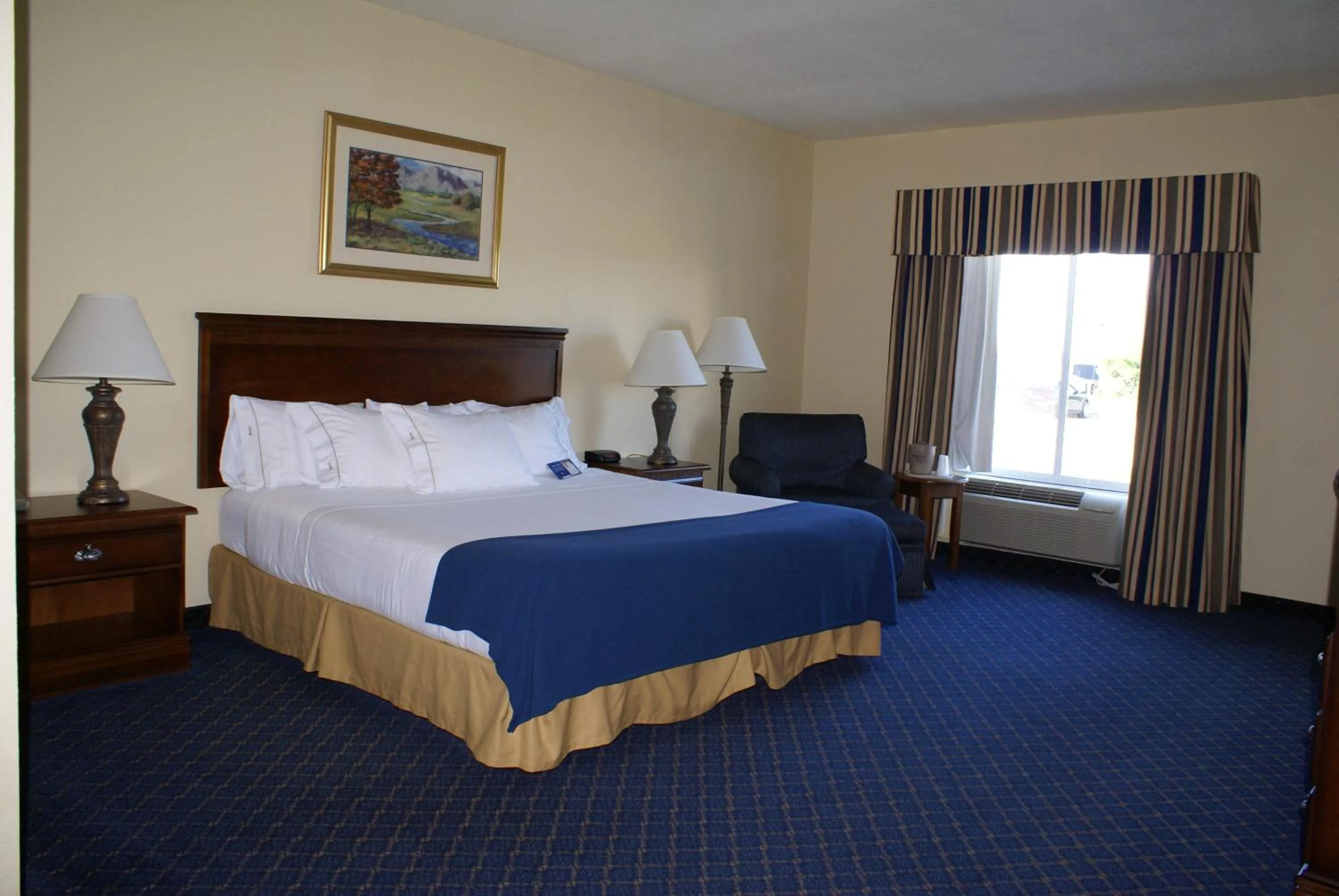 King Room - Mobility Access/Hearing Accessible in Holiday Inn Express Hotels & Suites Mountain Home by IHG