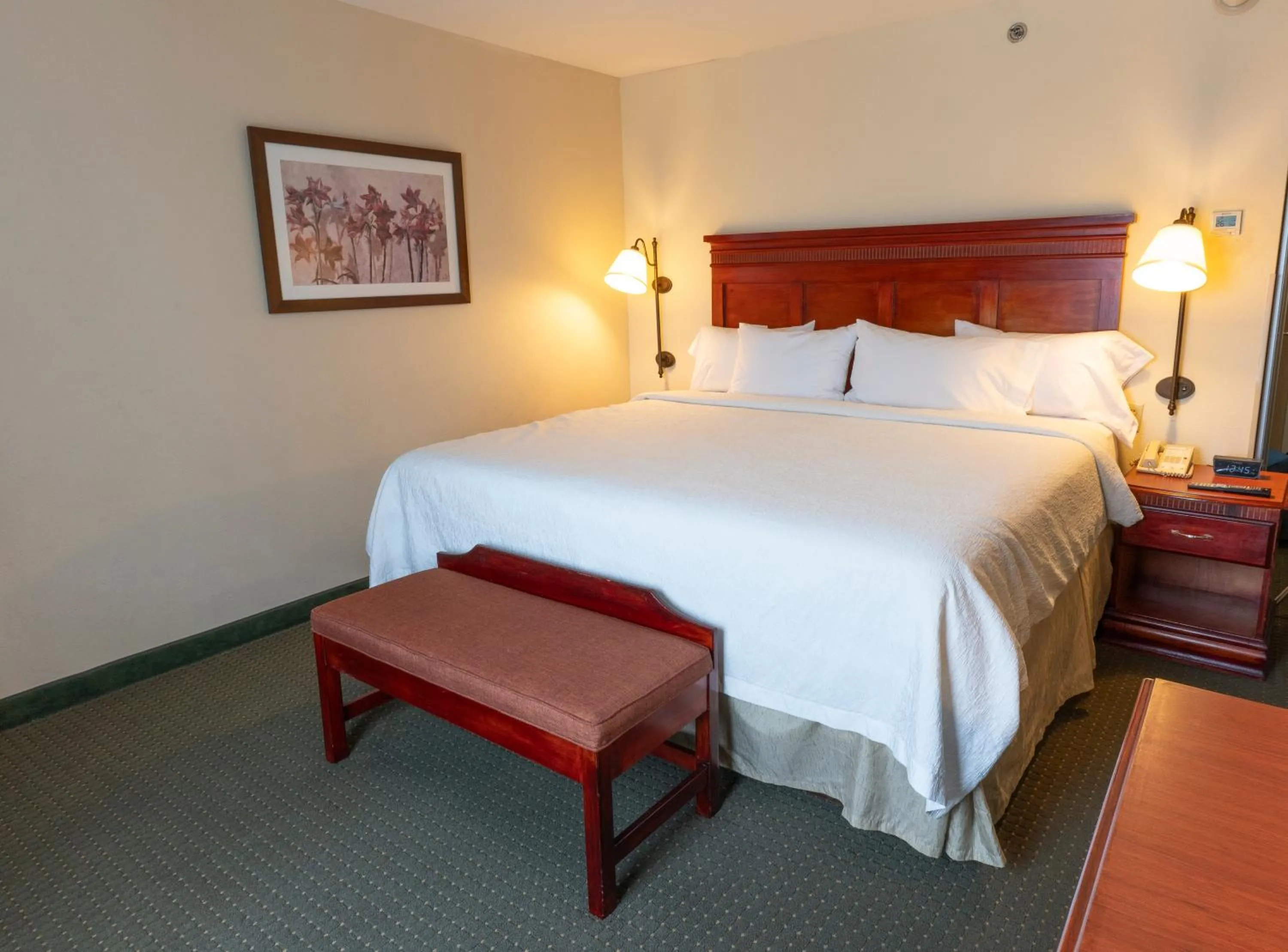 King Room with King Bed - Non-Smoking in Hampton Inn by Hilton Guadalajara-Aeropuerto