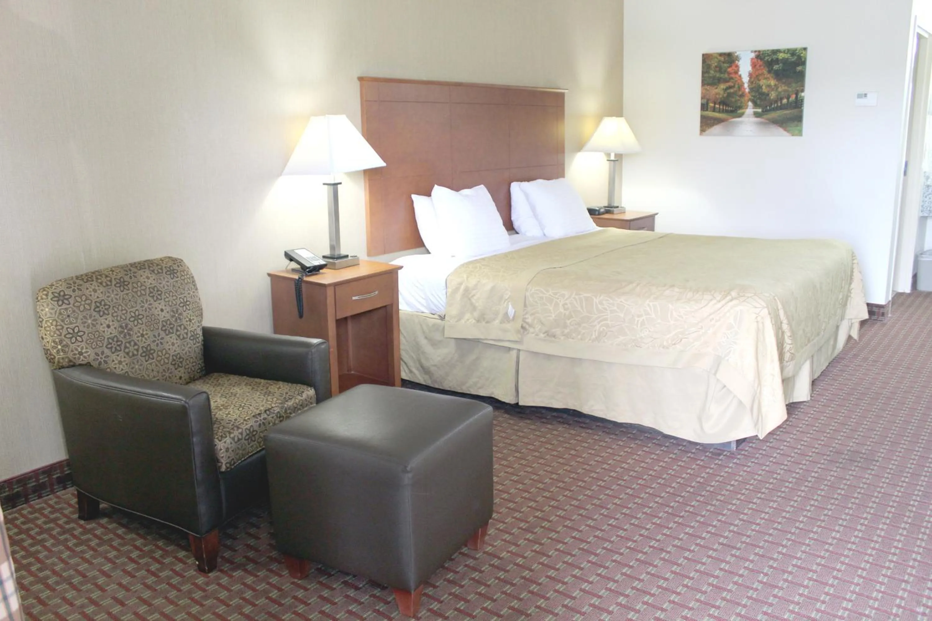 King Room - Disability Access/Non-Smoking in Baymont by Wyndham Franklin