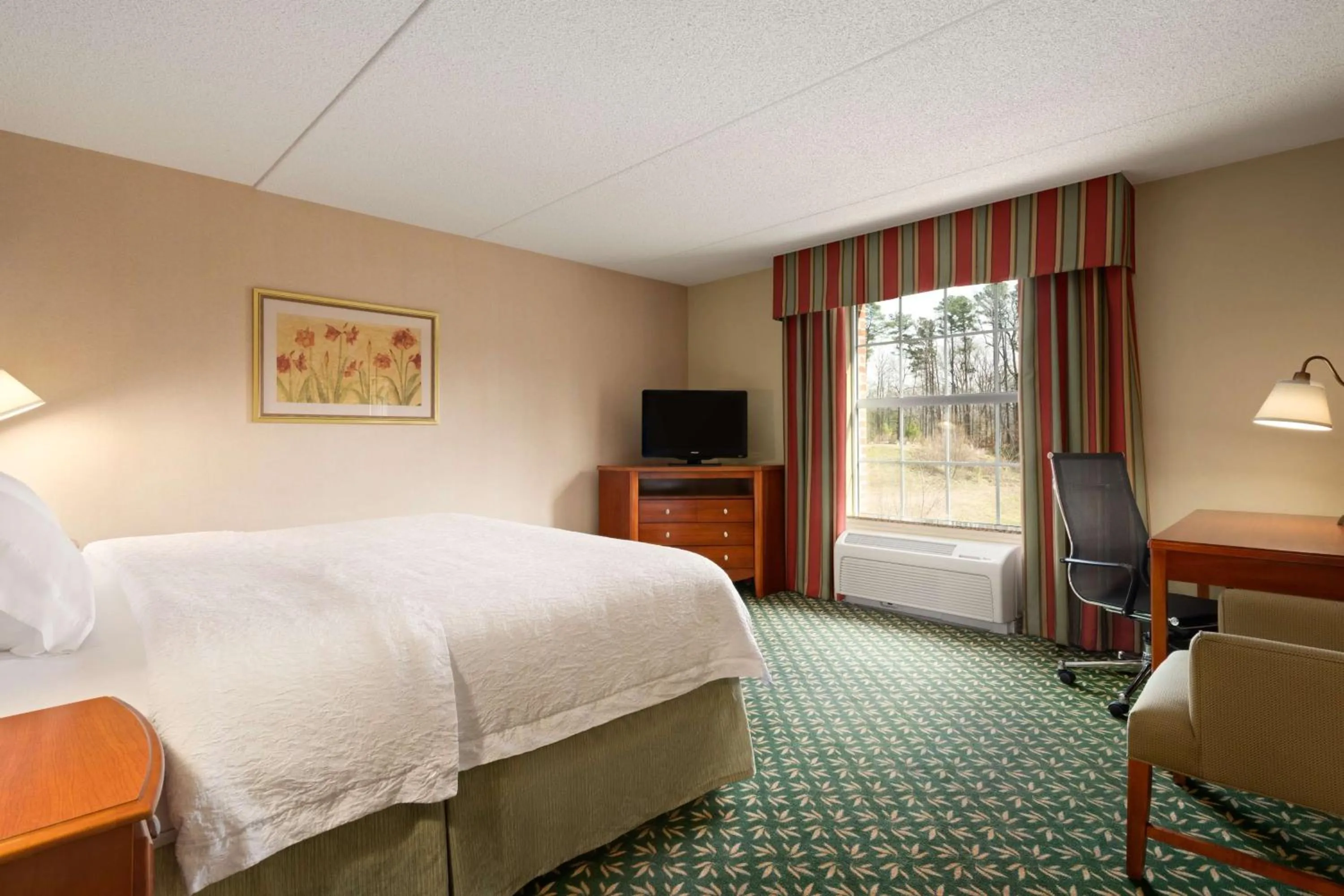 King Room with King Bed - Non-Smoking in Hampton Inn & Suites Williamsburg-Central