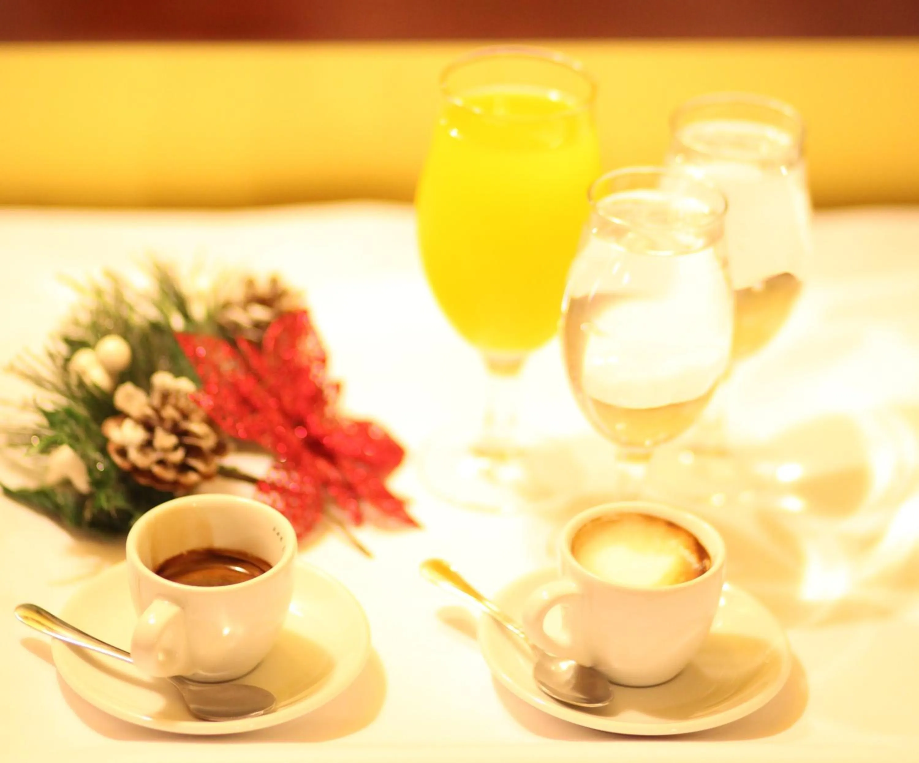 Twin Room - single occupancy in Hotel Laguna