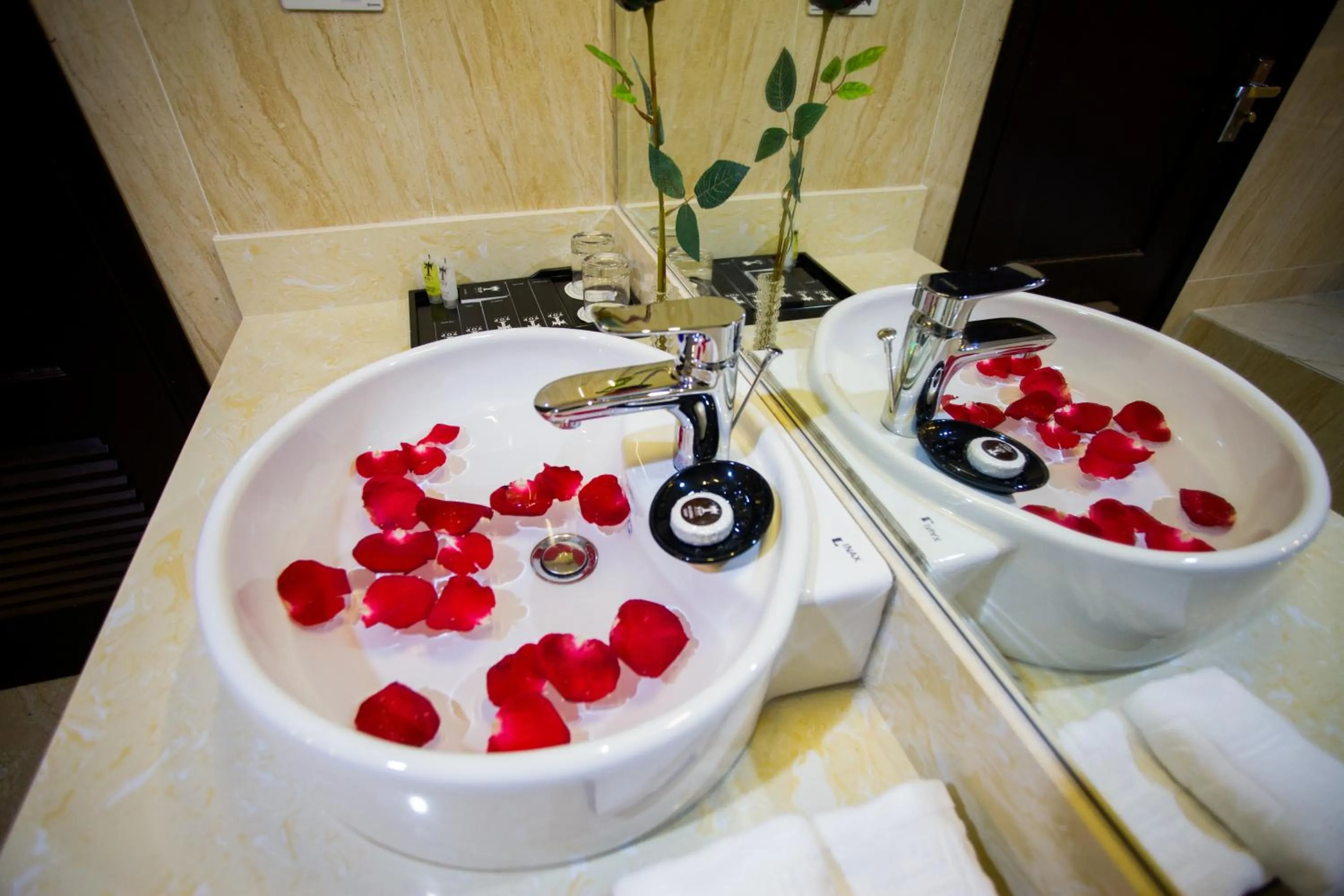 Deluxe Room - single occupancy in Friendship hotel