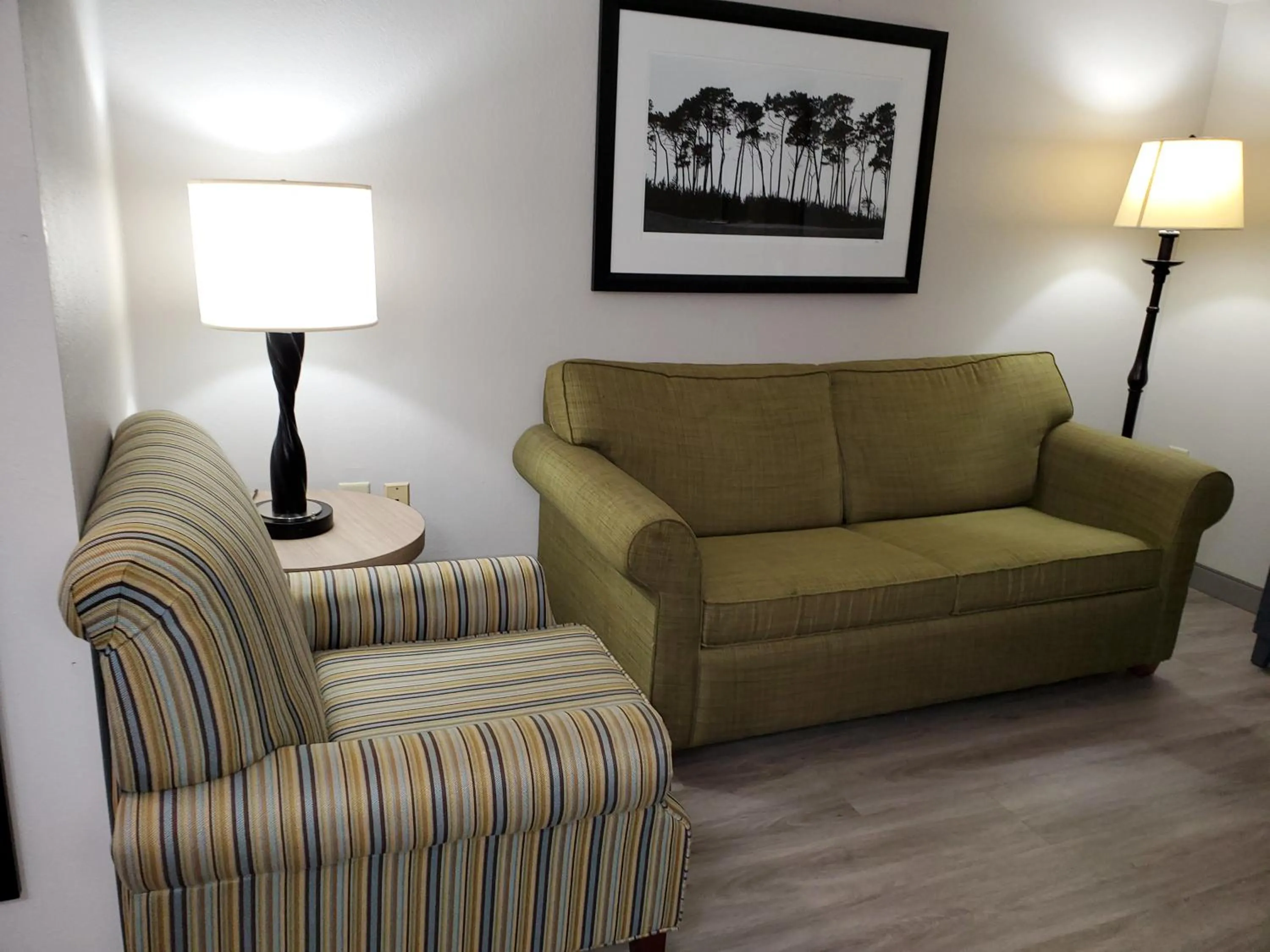 King Studio with Sofa Bed - Non-Smoking in Country Inn & Suites by Radisson, Buford at Mall of Georgia, GA